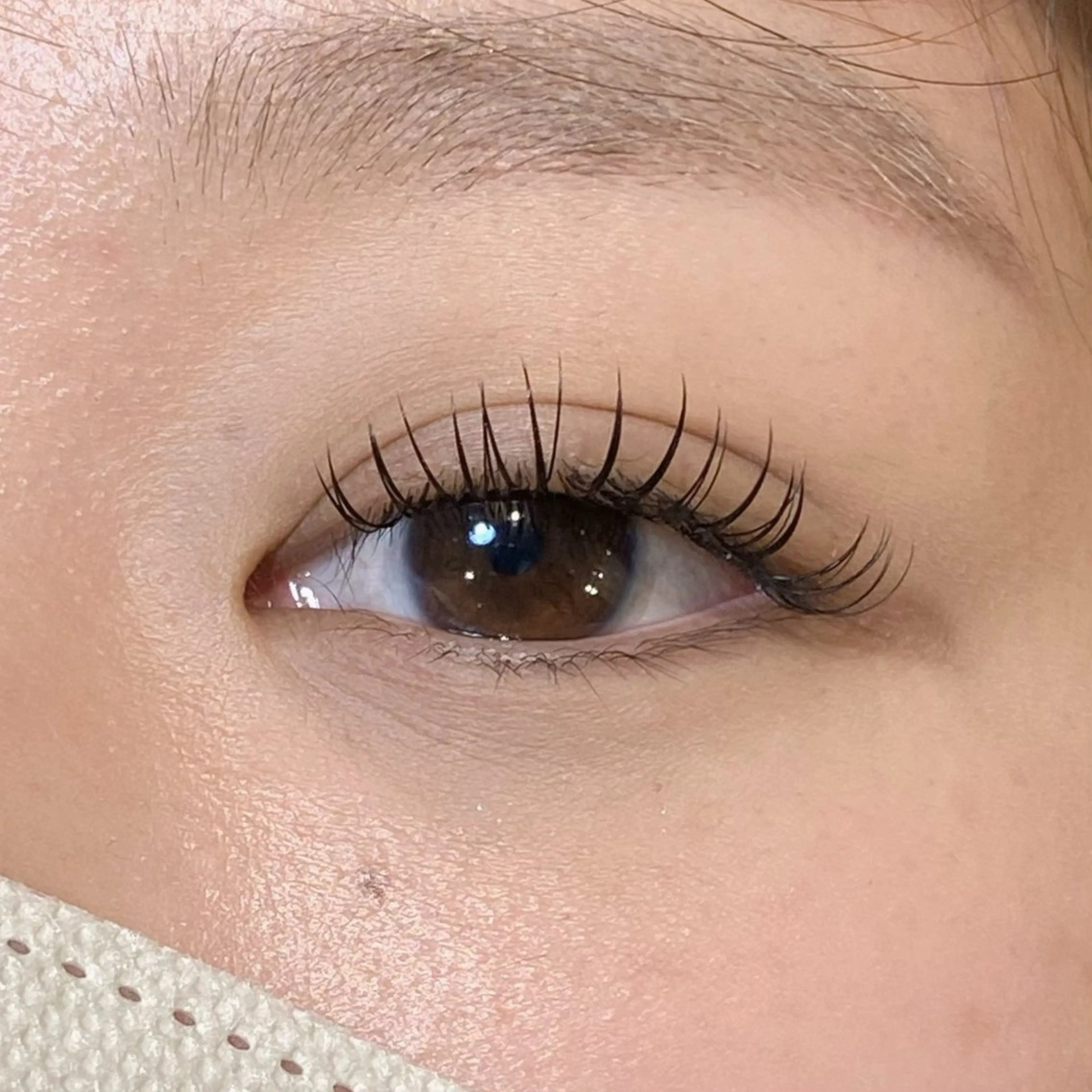 🫧パーフェクトラッシュ80束🫧の写真