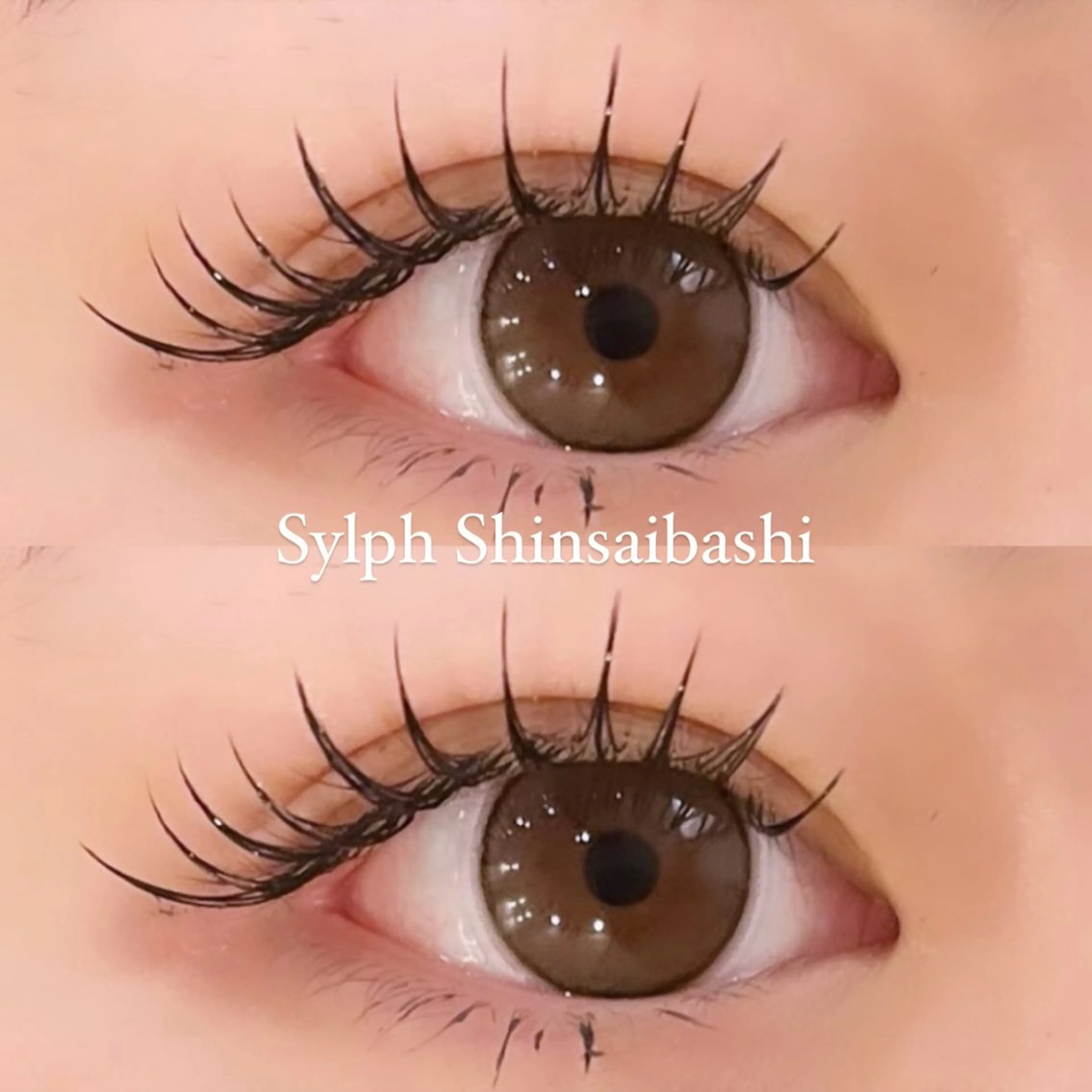 🎀フラットラッシュ🎀100本​〜​120本（シングルオフ、コーティング込み）の写真