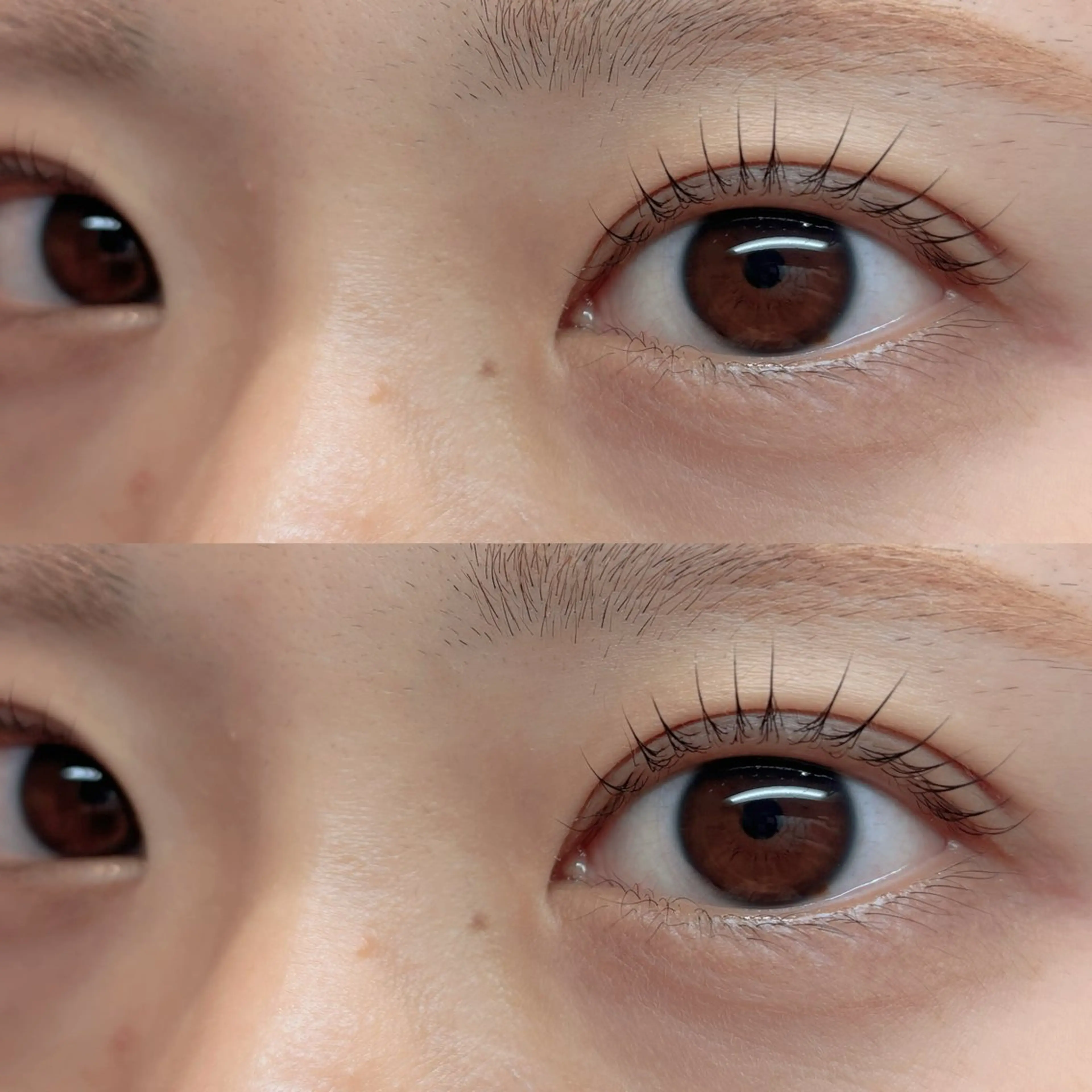 マツエク・マツパ マツパ LiNA🌿藤原 茉莉花のマツエク・マツパデザイン