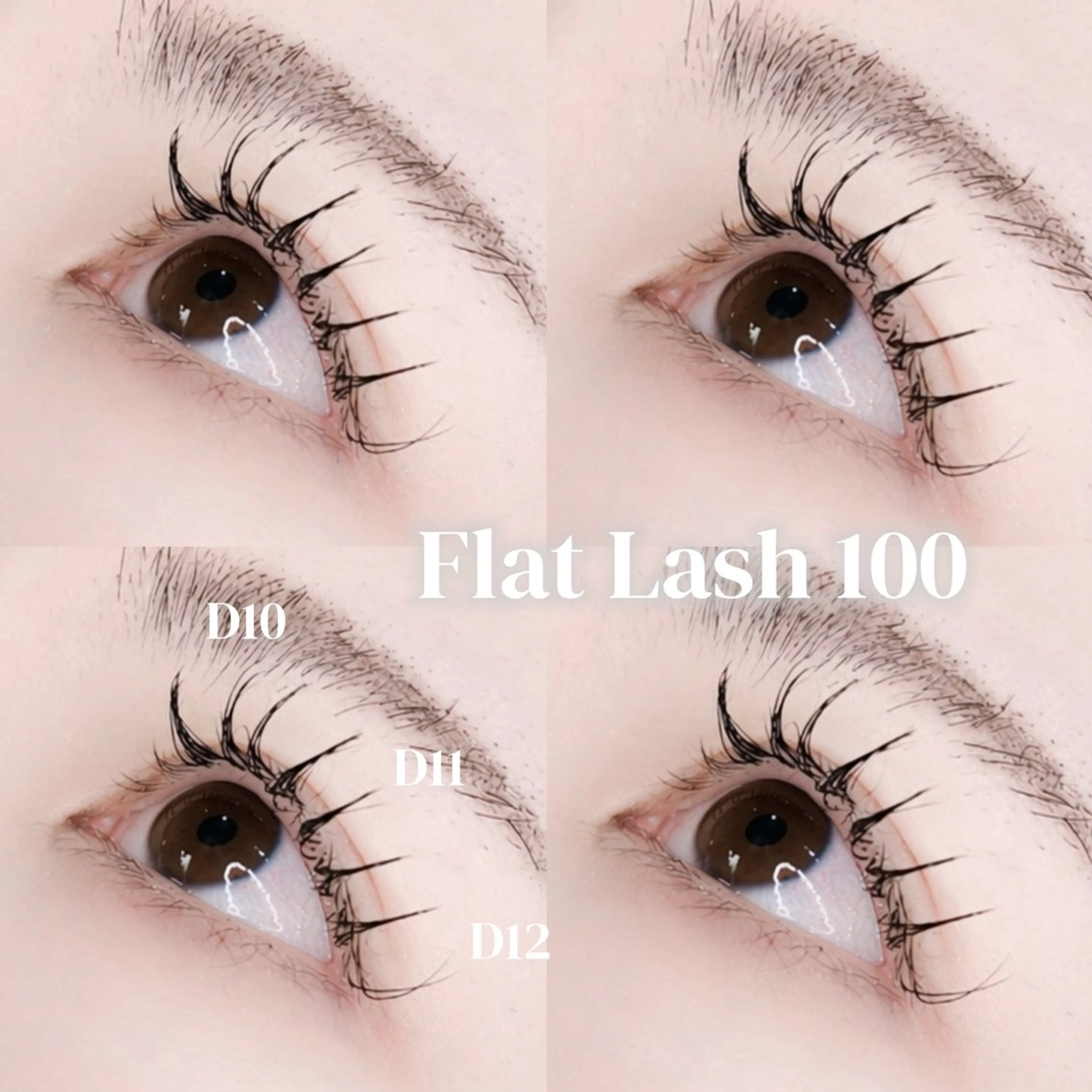 マツエク・マツパ フラットラッシュ セクシー ‪‪OLIVIA 五十嵐  ‪‪❤︎‬のマツエク・マツパデザイン