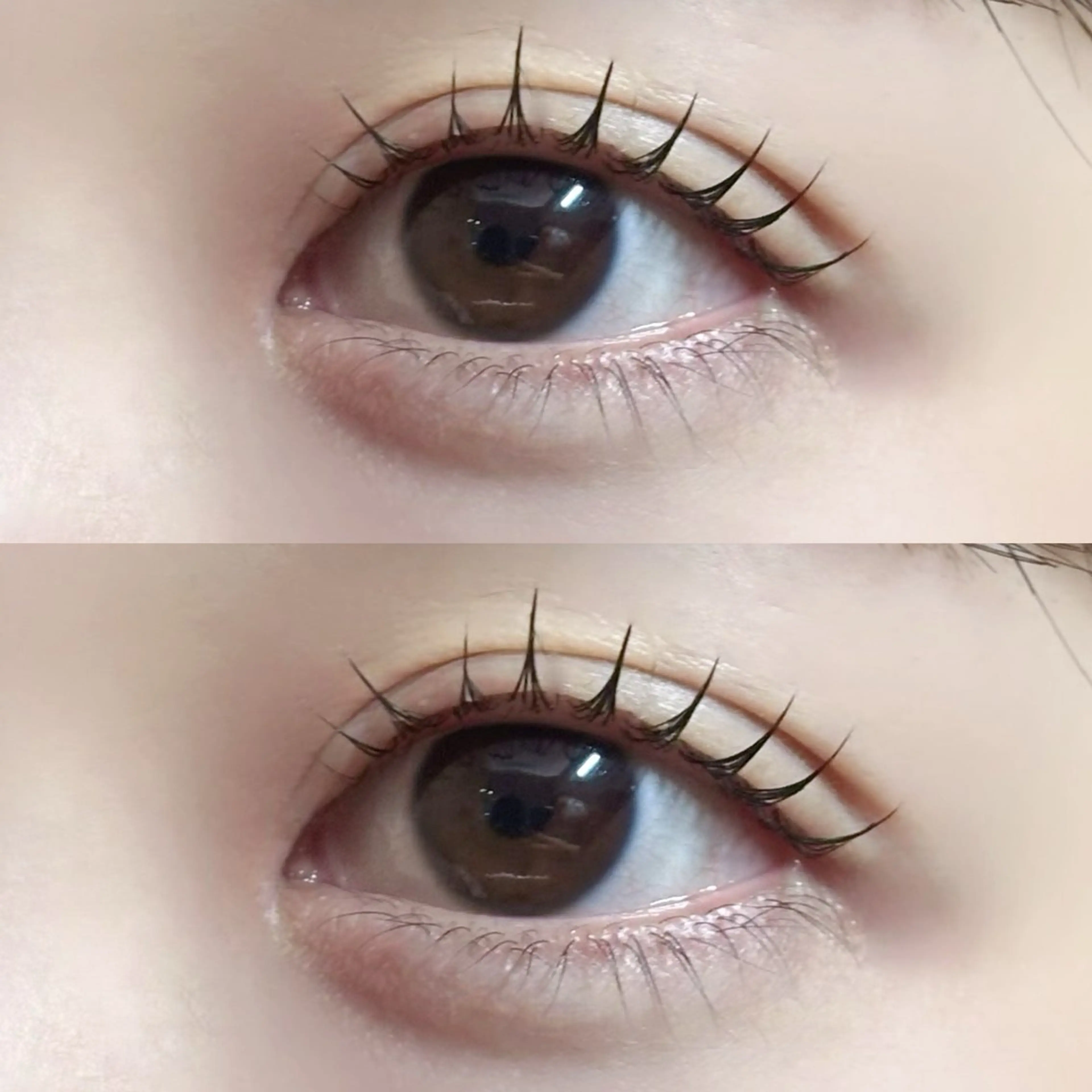 マツエク・マツパ Lupines Asahi🔆のマツエク・マツパデザイン