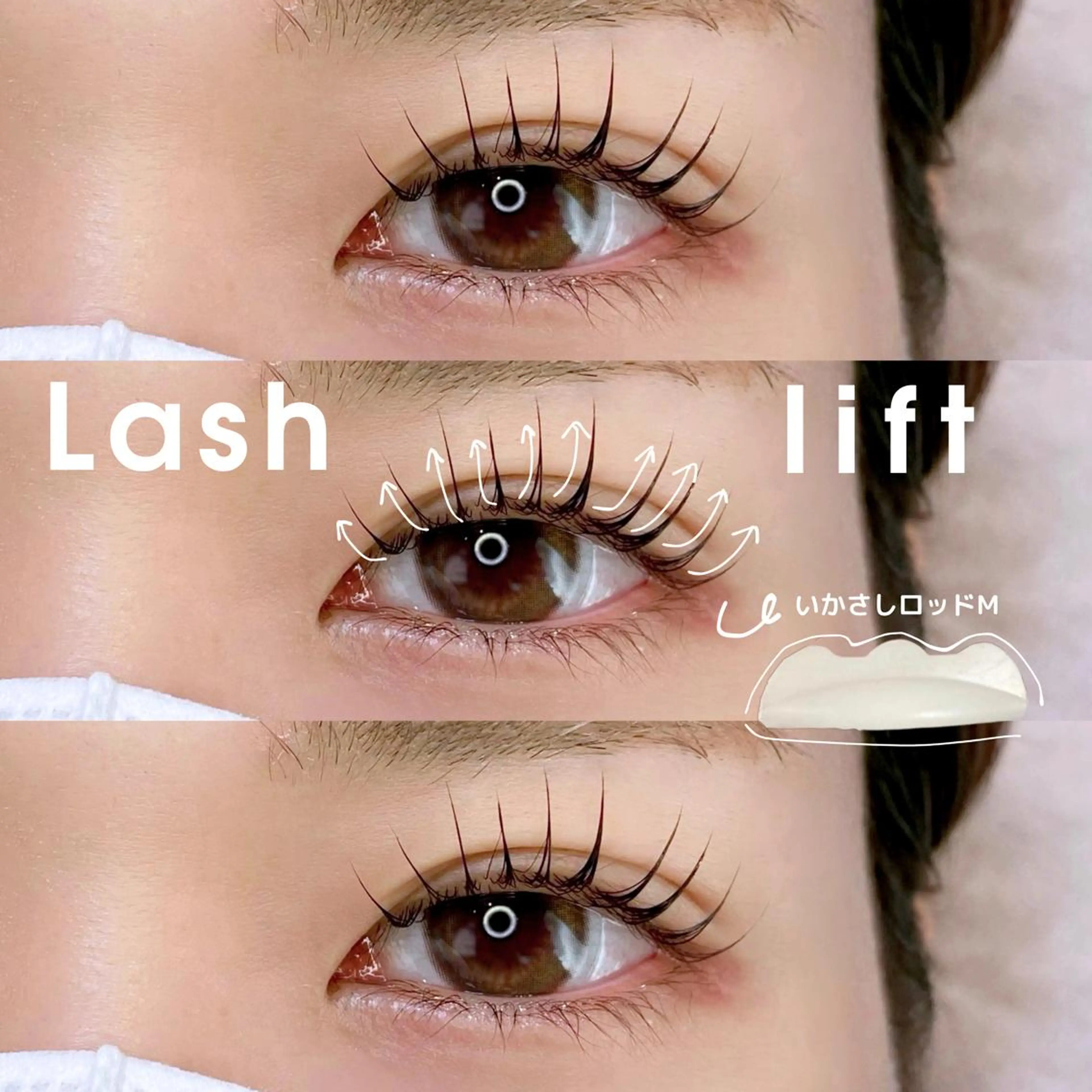 ãããšã¯ã»ããã ðððéð ððððã®ãããšã¯ã»ããããã¶ã€ã³