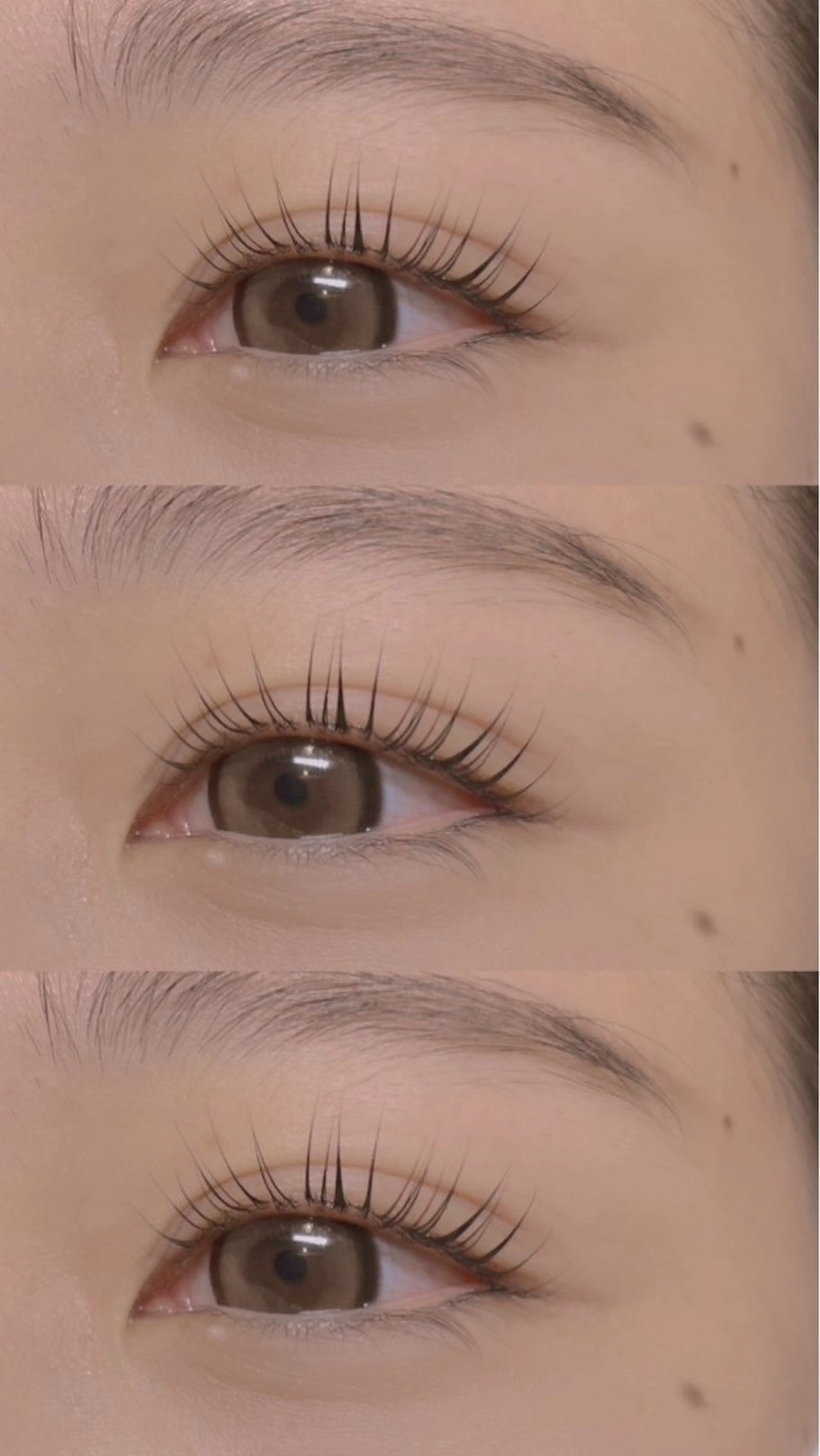 マツエク・マツパ マツパ Y.mako‪∗*ﾟ angelicaのマツエク・マツパデザイン