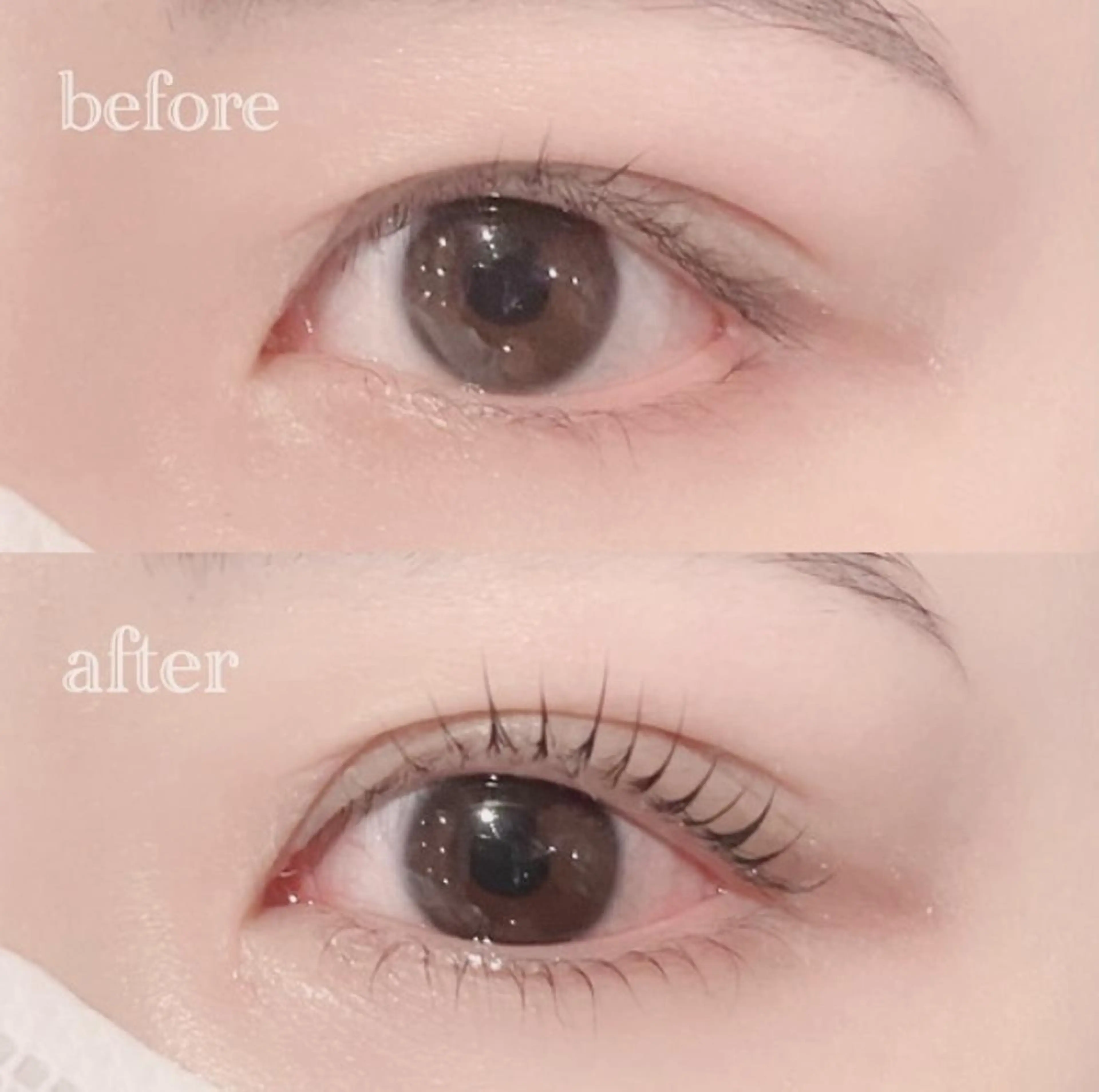 マツエク・マツパ マツパ Las' ebisu まつパ&美眉 専門店のマツエク・マツパデザイン