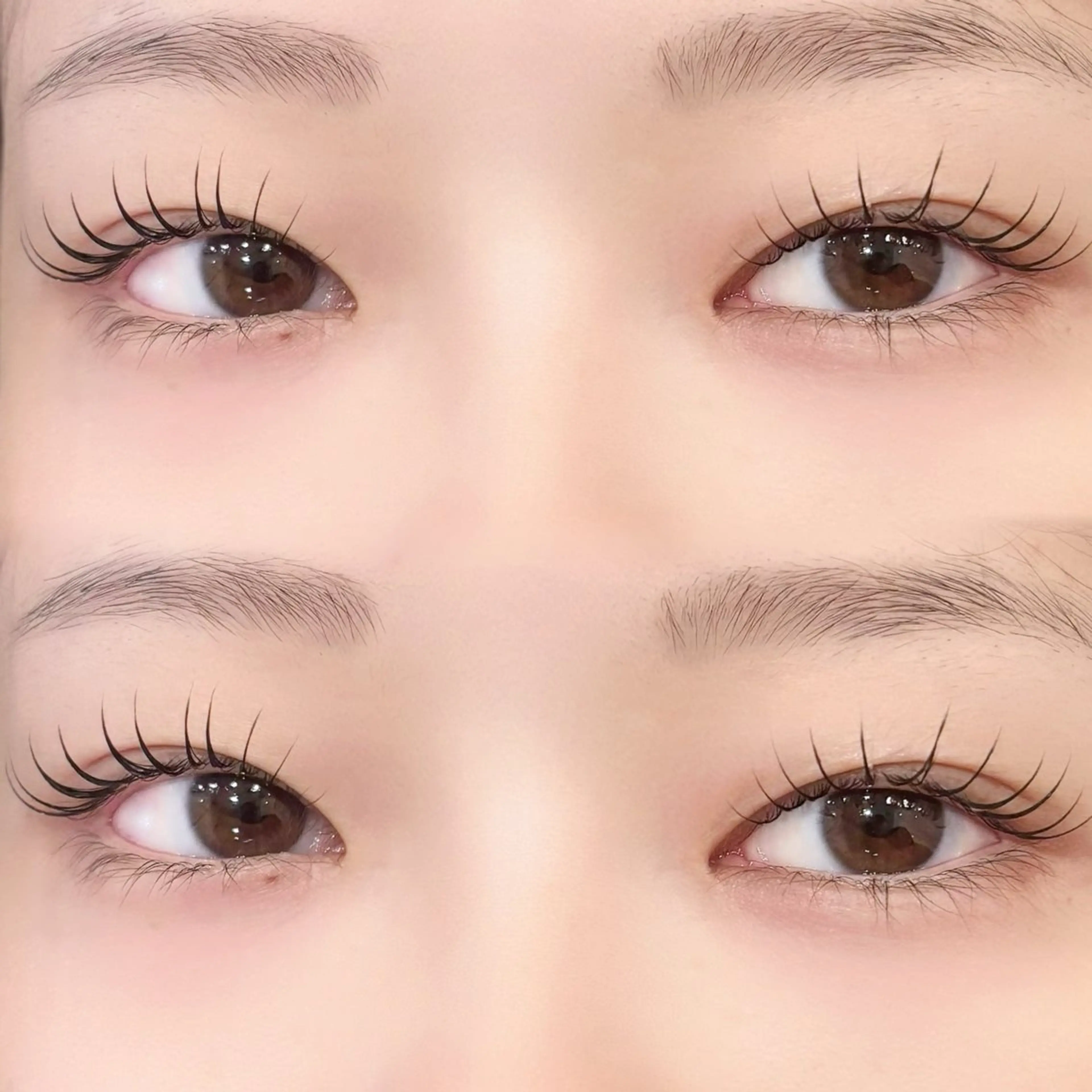 《ご新規様限定》まつ毛パーマ✨の写真