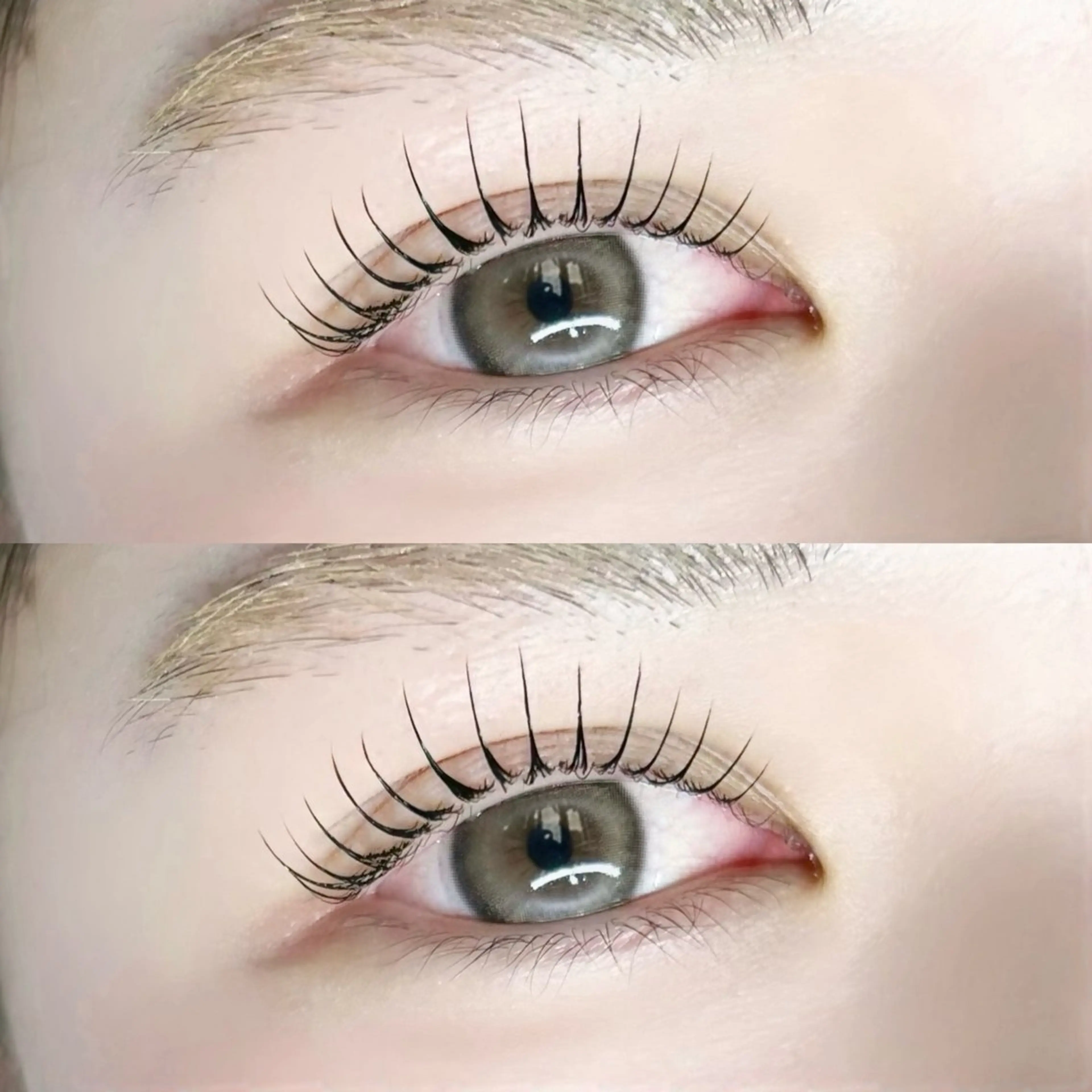 𓊆4月13日限定🍒𓊇‎パリジェンヌラッシュリフト💎🫧の写真