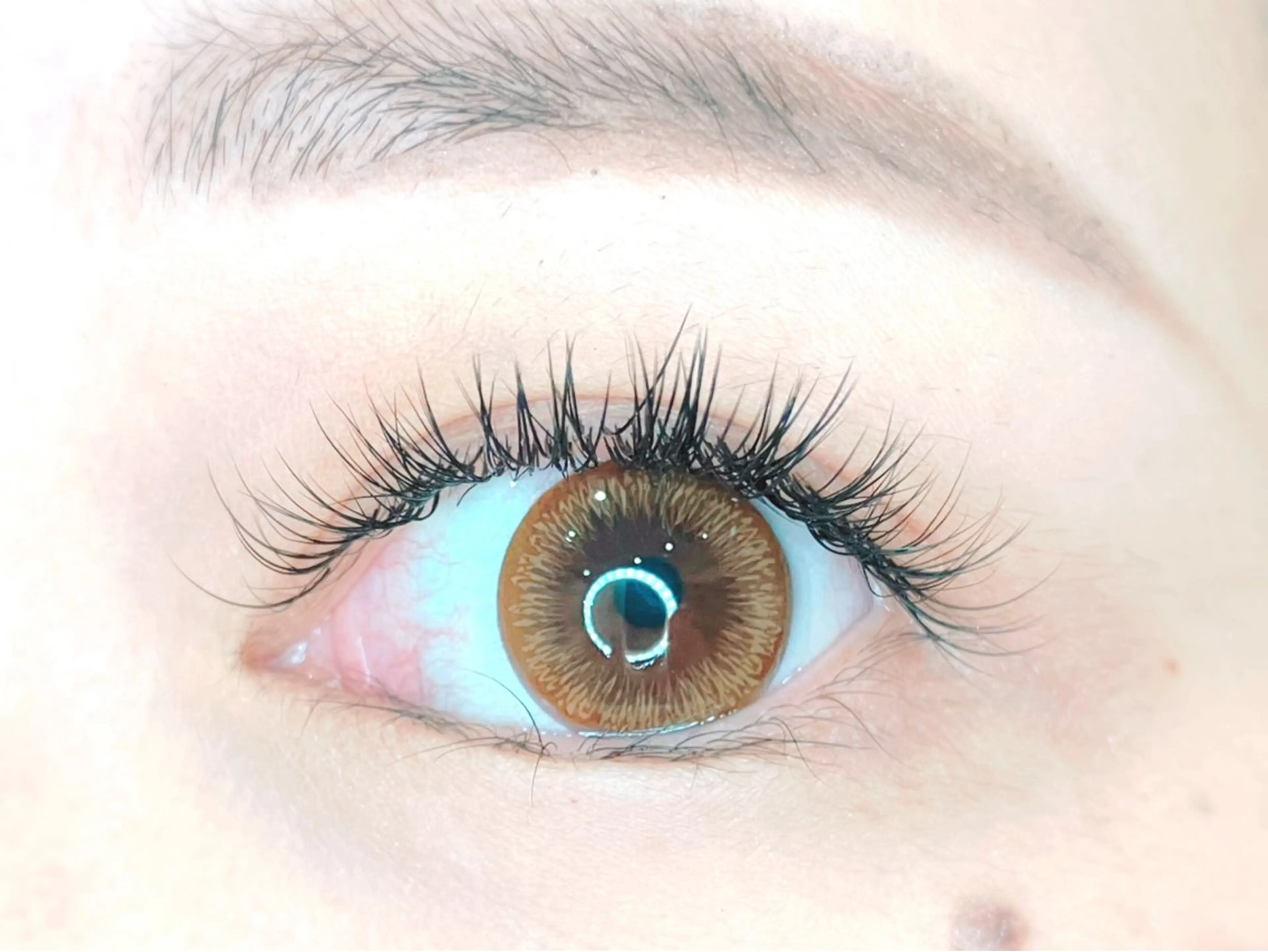 【新規◆期間限定】120本最高級セーブルエクステ(オフ込)の写真