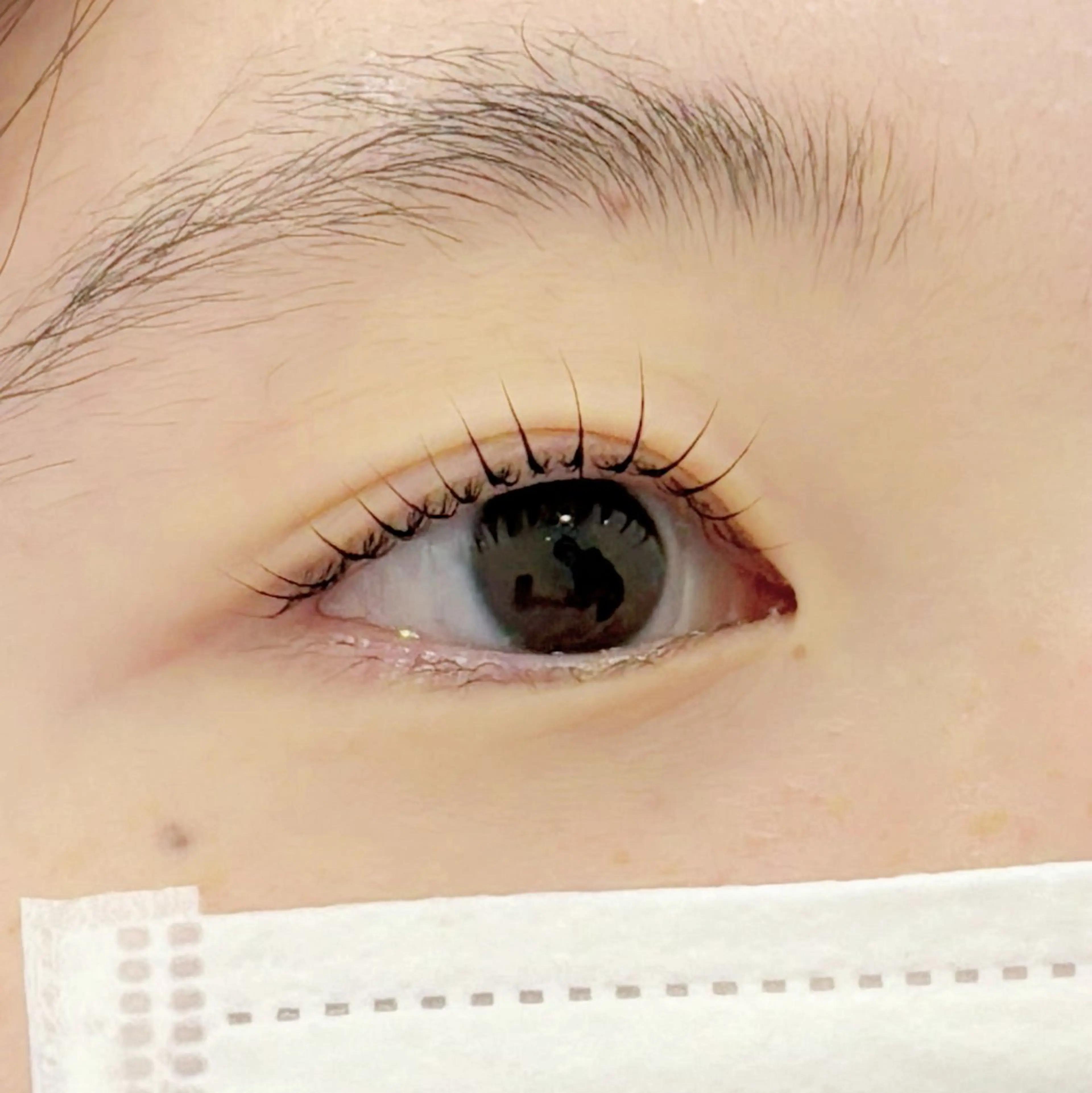 マツエク・マツパ マツパ 🌙Lily 船橋 鈴木のマツエク・マツパデザイン