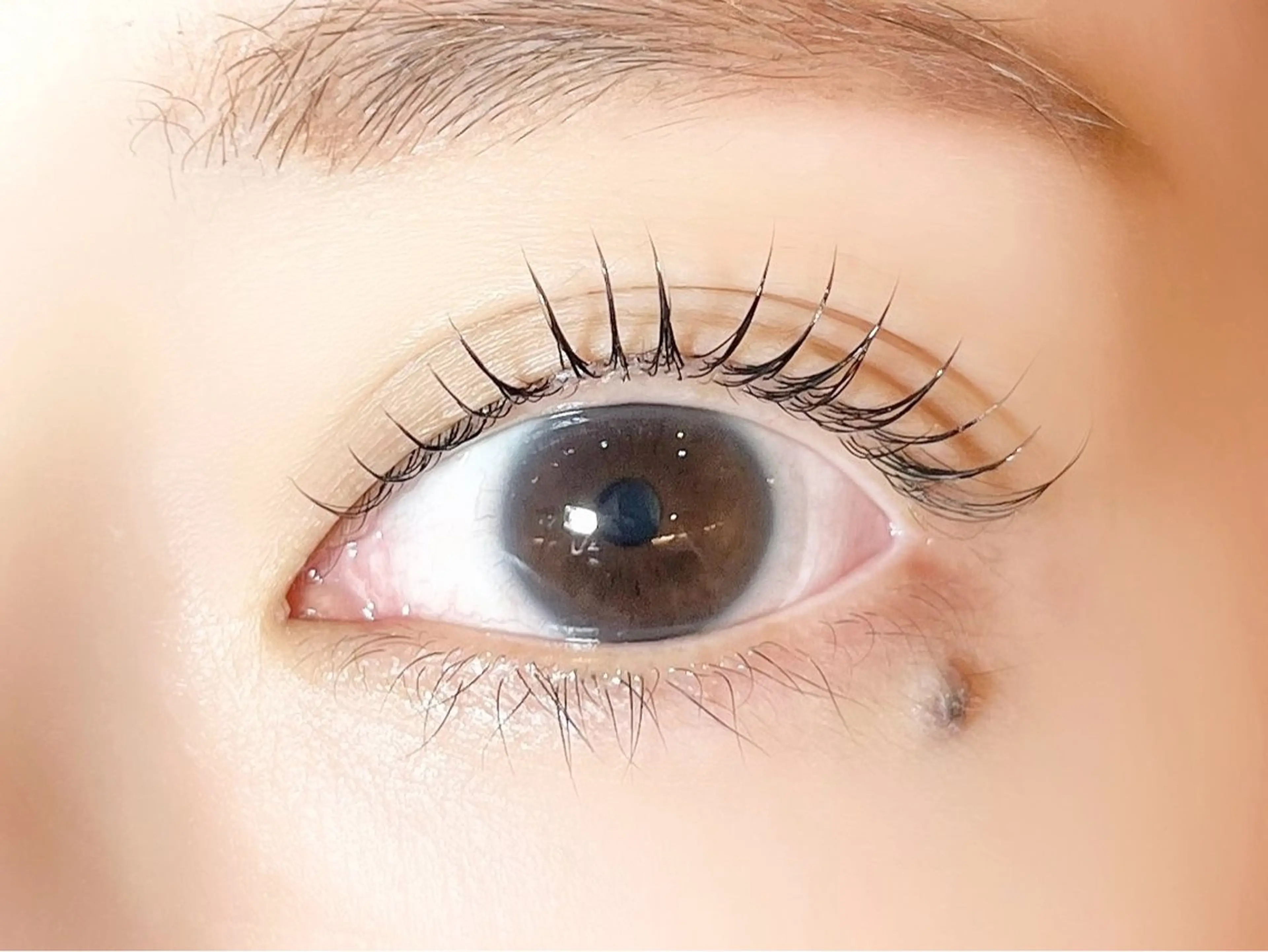 マツエク・マツパ 一重×まつ毛パーマ sola: neolive熊田のマツエク・マツパデザイン