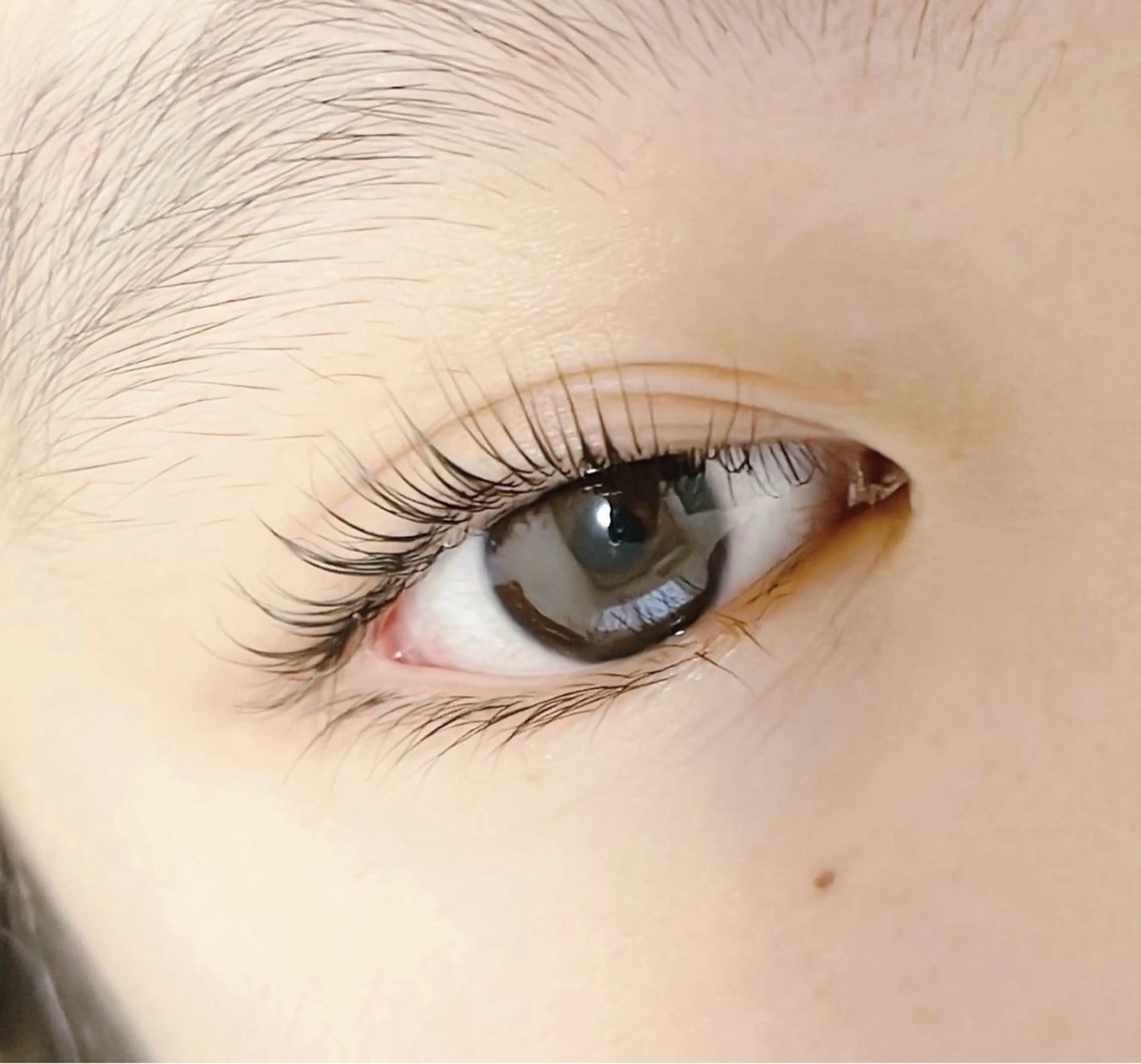 ラッシュリフトの写真