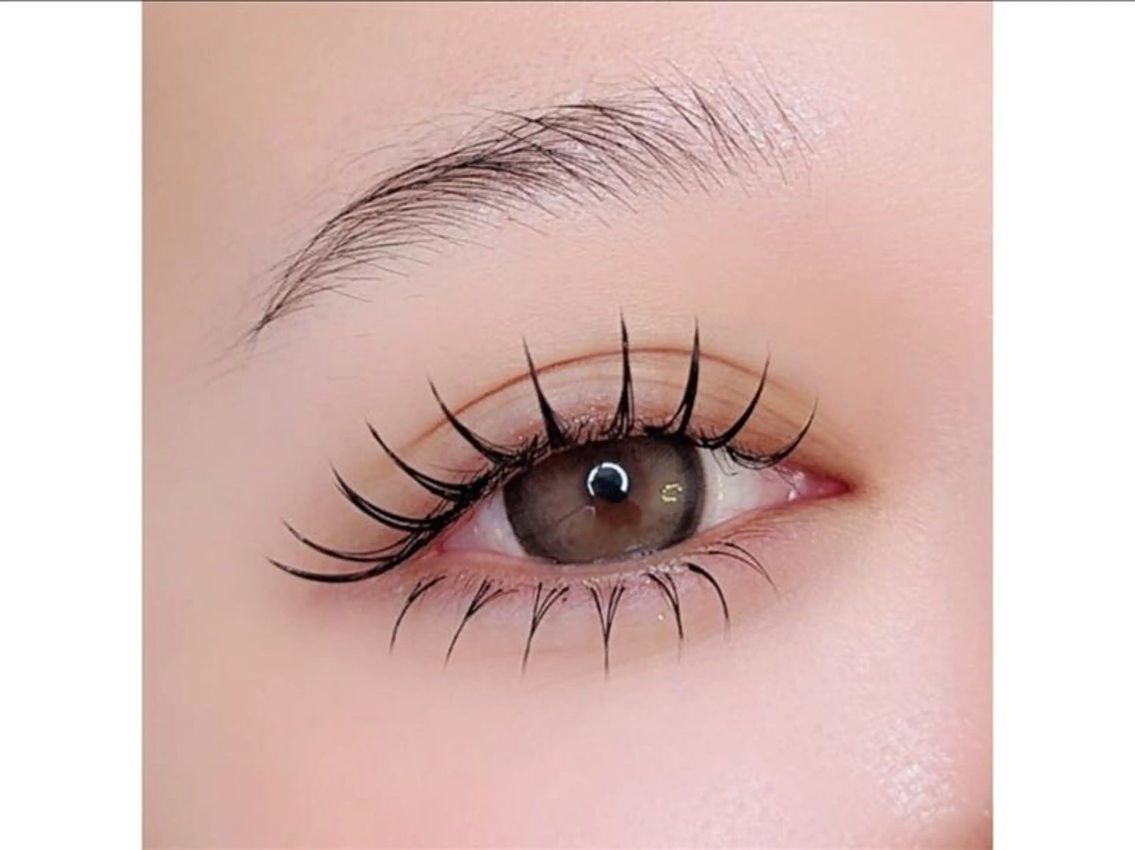 マツエク・マツパ Richelle まつ毛•眉毛専門店のマツエク・マツパデザイン