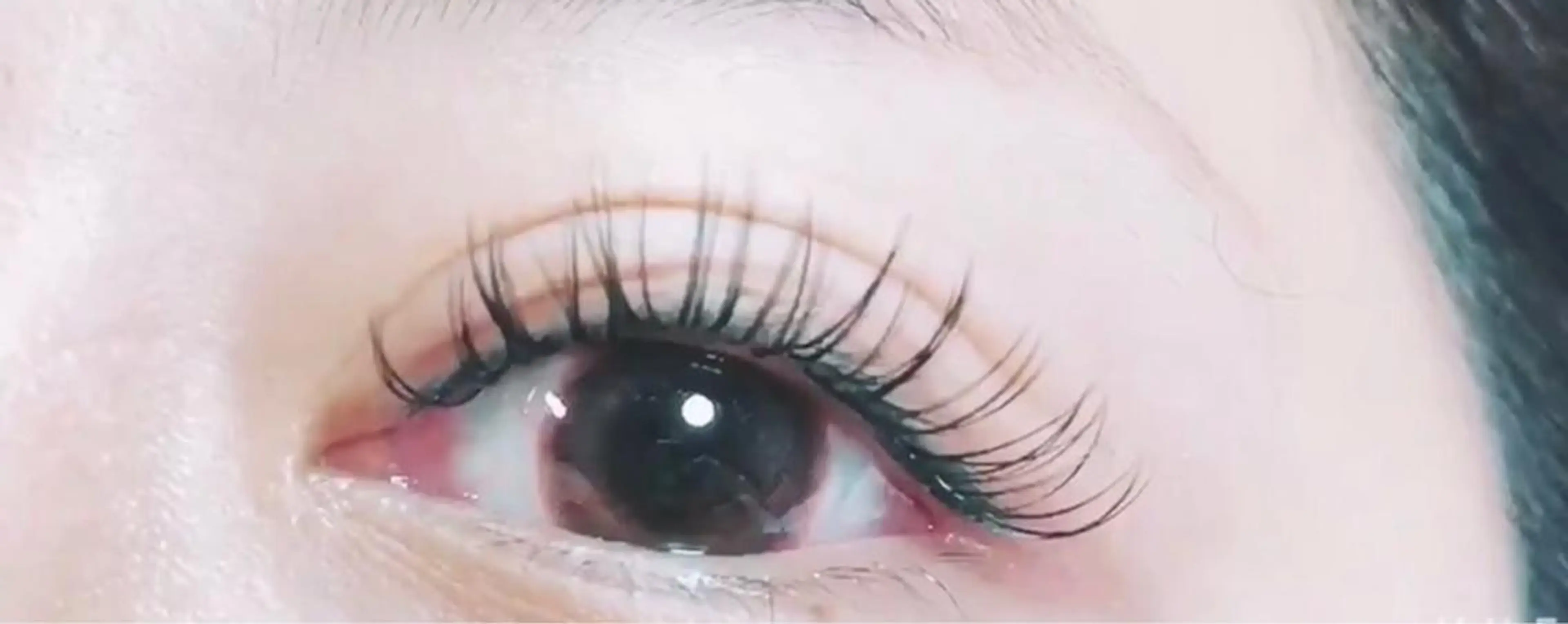 【新規】オイルクレンジングOK最高級セーブル付け放題♪(6980 本 以上保証)の写真