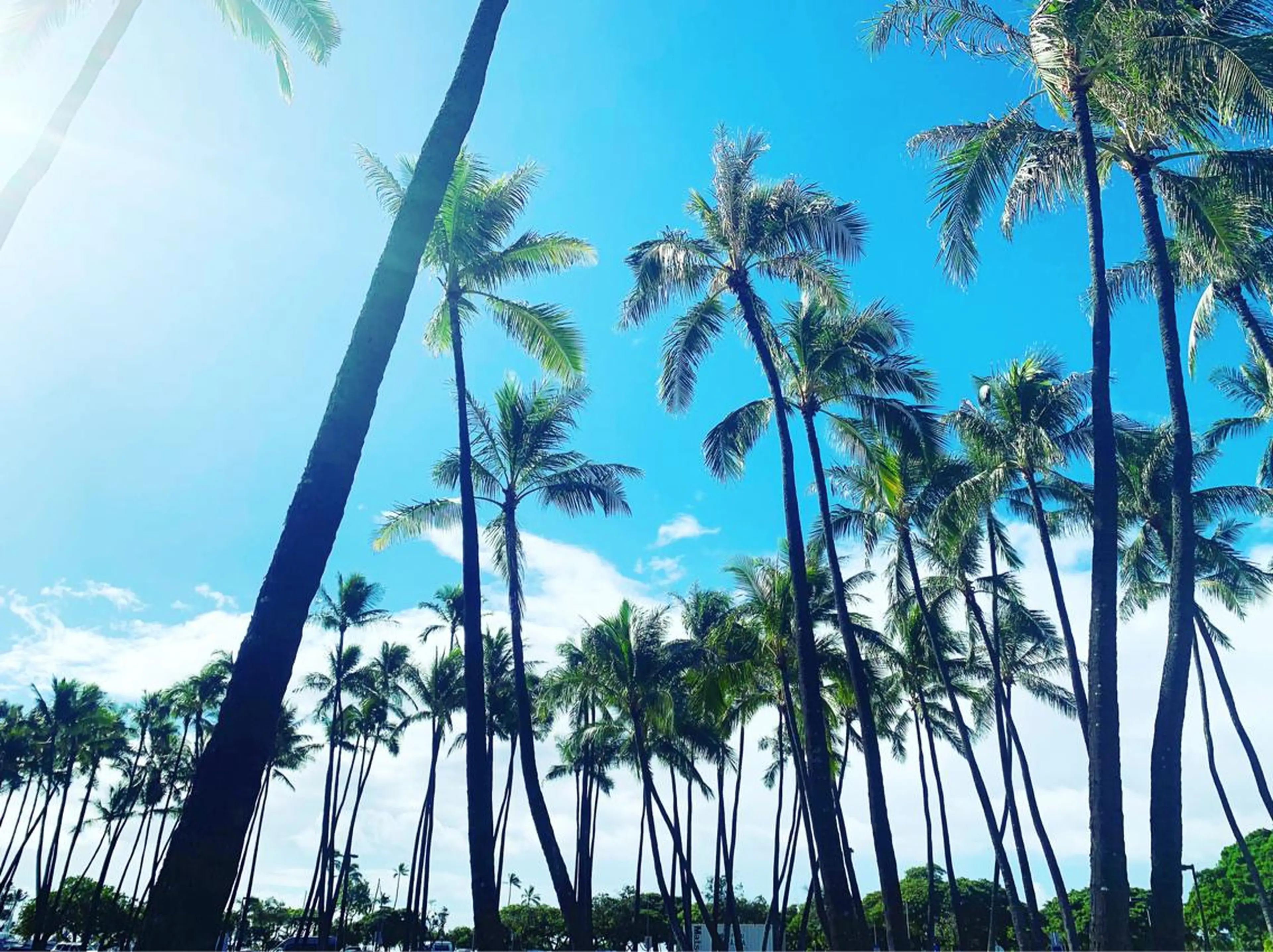 𝐘𝐎𝐒𝐇𝐈 𝐌𝐈🌞🏝のマツエク・マツパデザイン