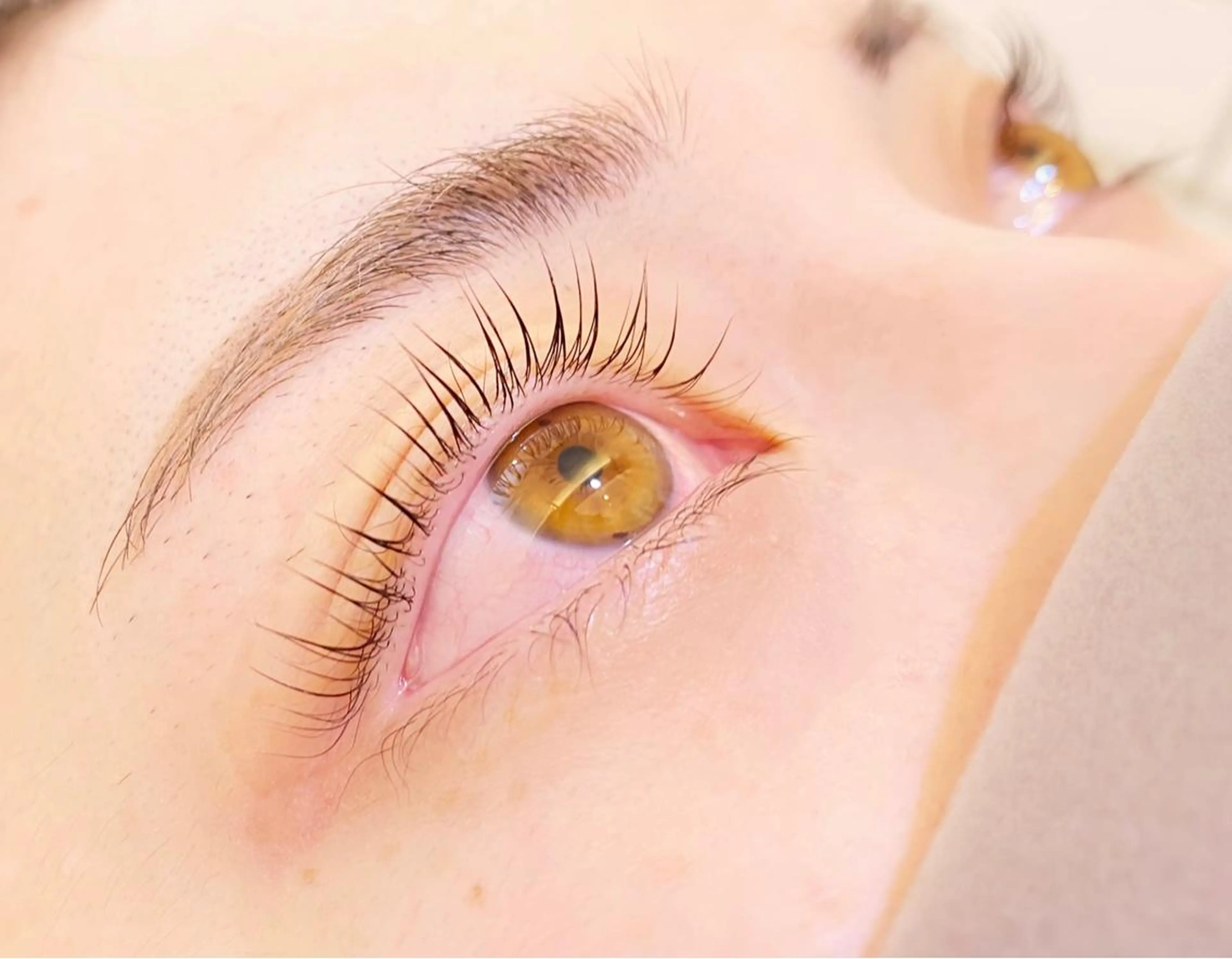 🌟おすすめメニュー🌟 新規まつ毛カール [上・下]¥11800)の写真