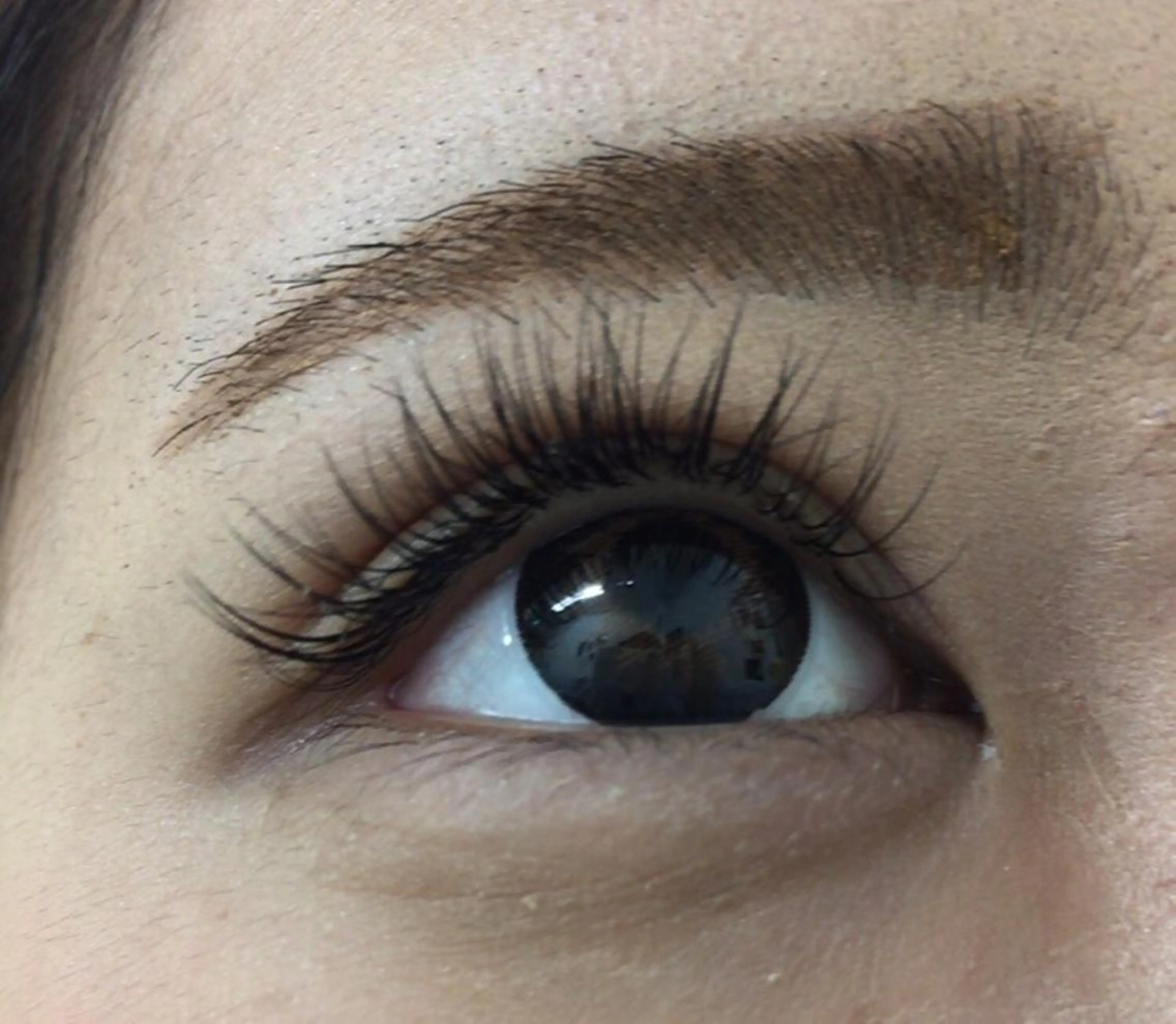 マツエク・マツパ Cカール Jカール ミンク ナチュラル セーブル Megu. anelloのマツエク・マツパデザイン