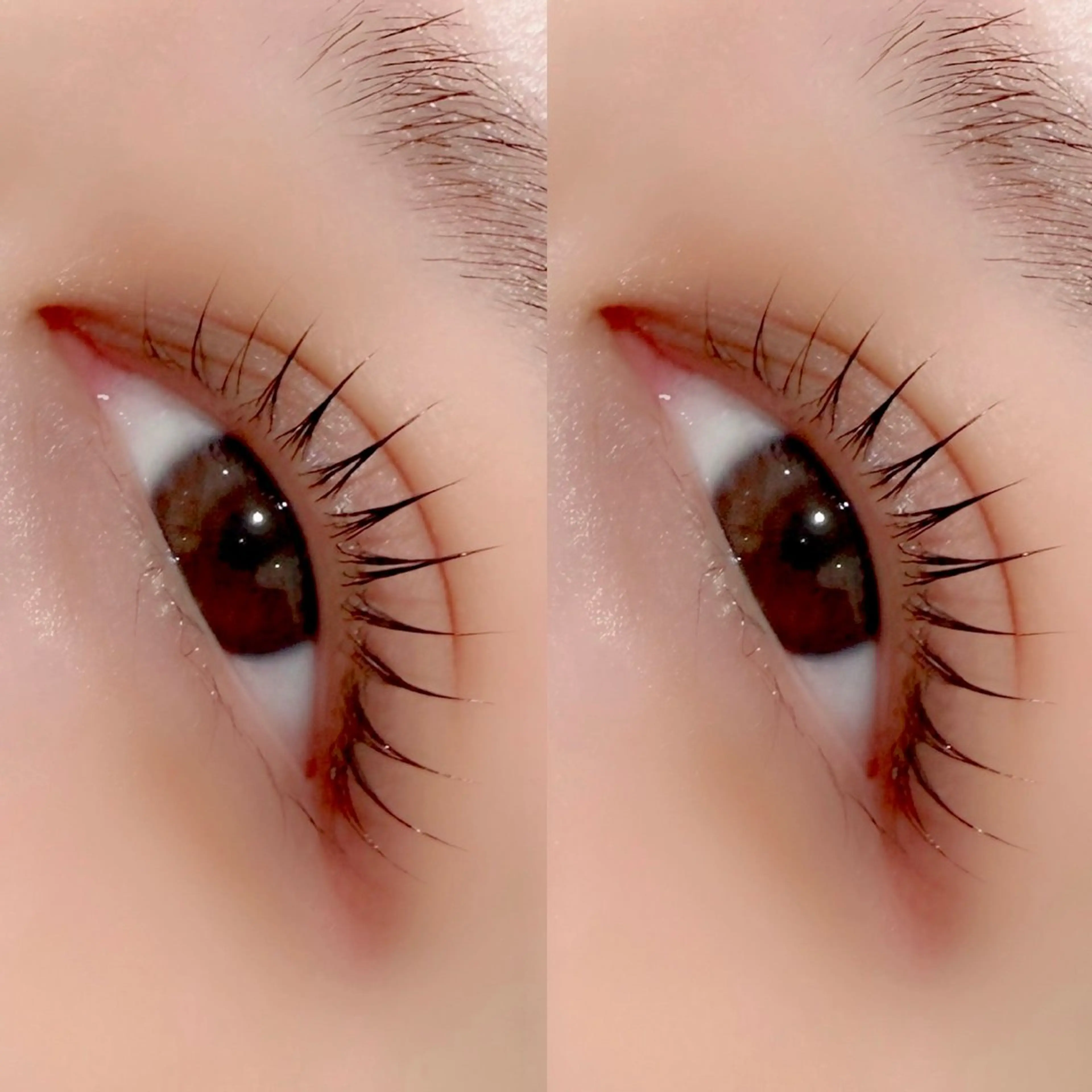 マツエク・マツパ マツパ 京橋🦋LEDマツエ ク&まつ毛パーマのマツエク・マツパデザイン