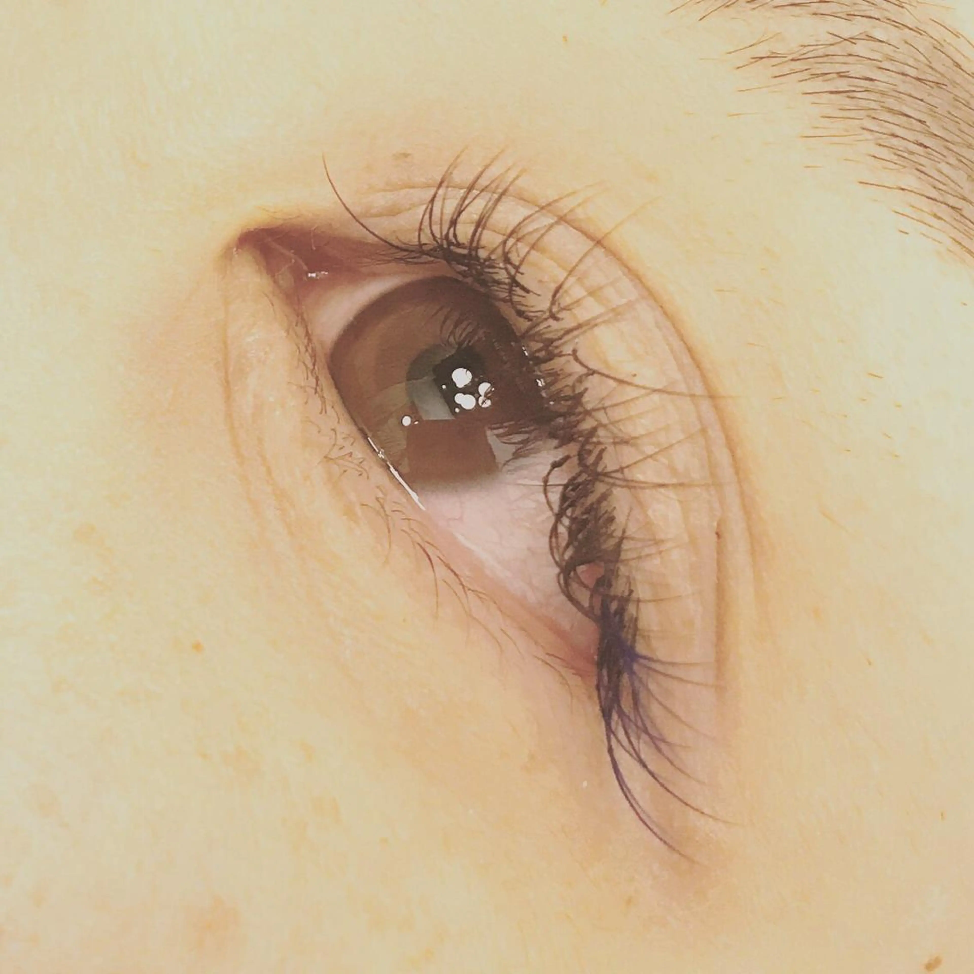 マツエク・マツパ 大久保 あゆみ✯Tina✯のマツエク・マツパデザイン