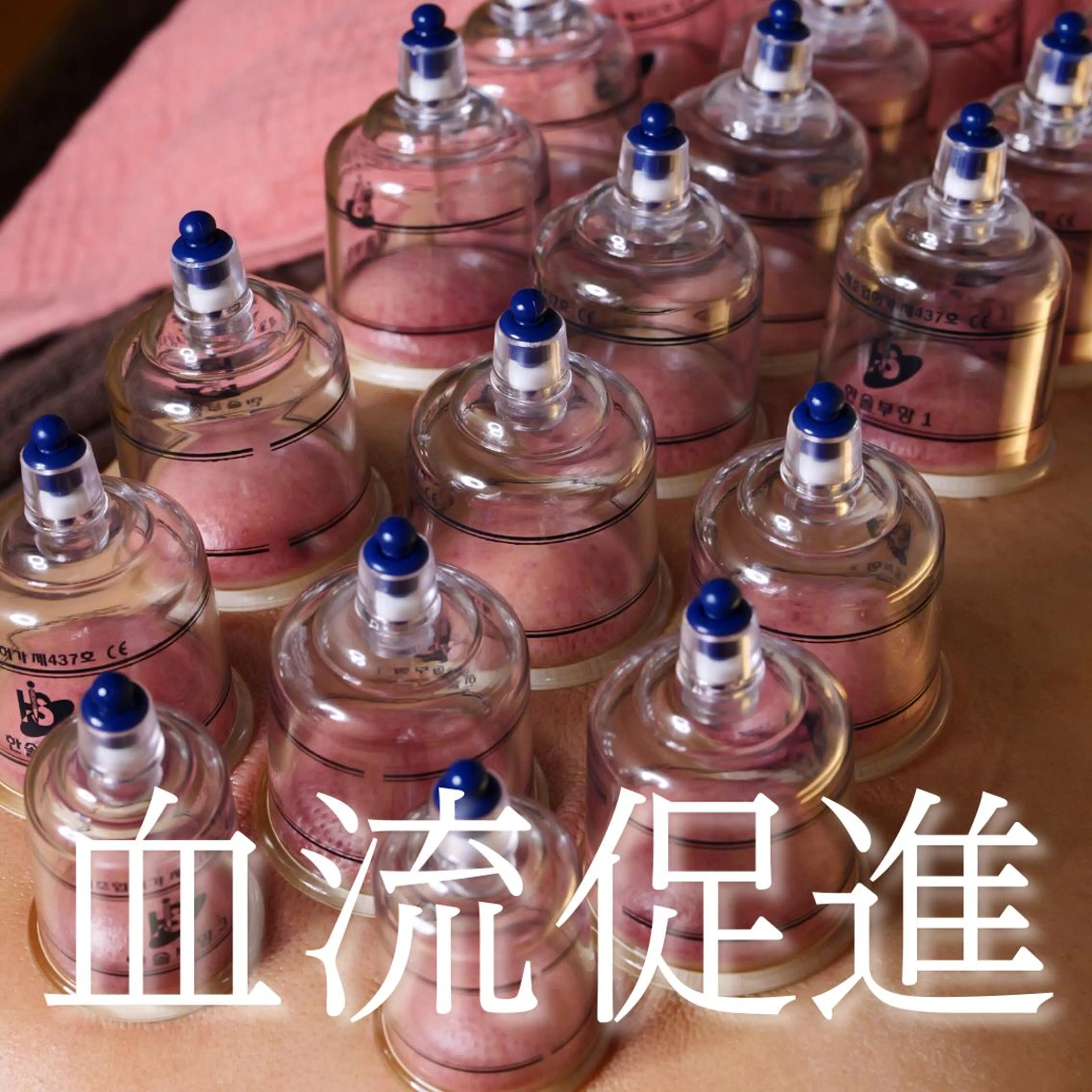 【血行促進/デトックス】カッピング(吸い玉)+ヘッドマッサージ 60分の写真