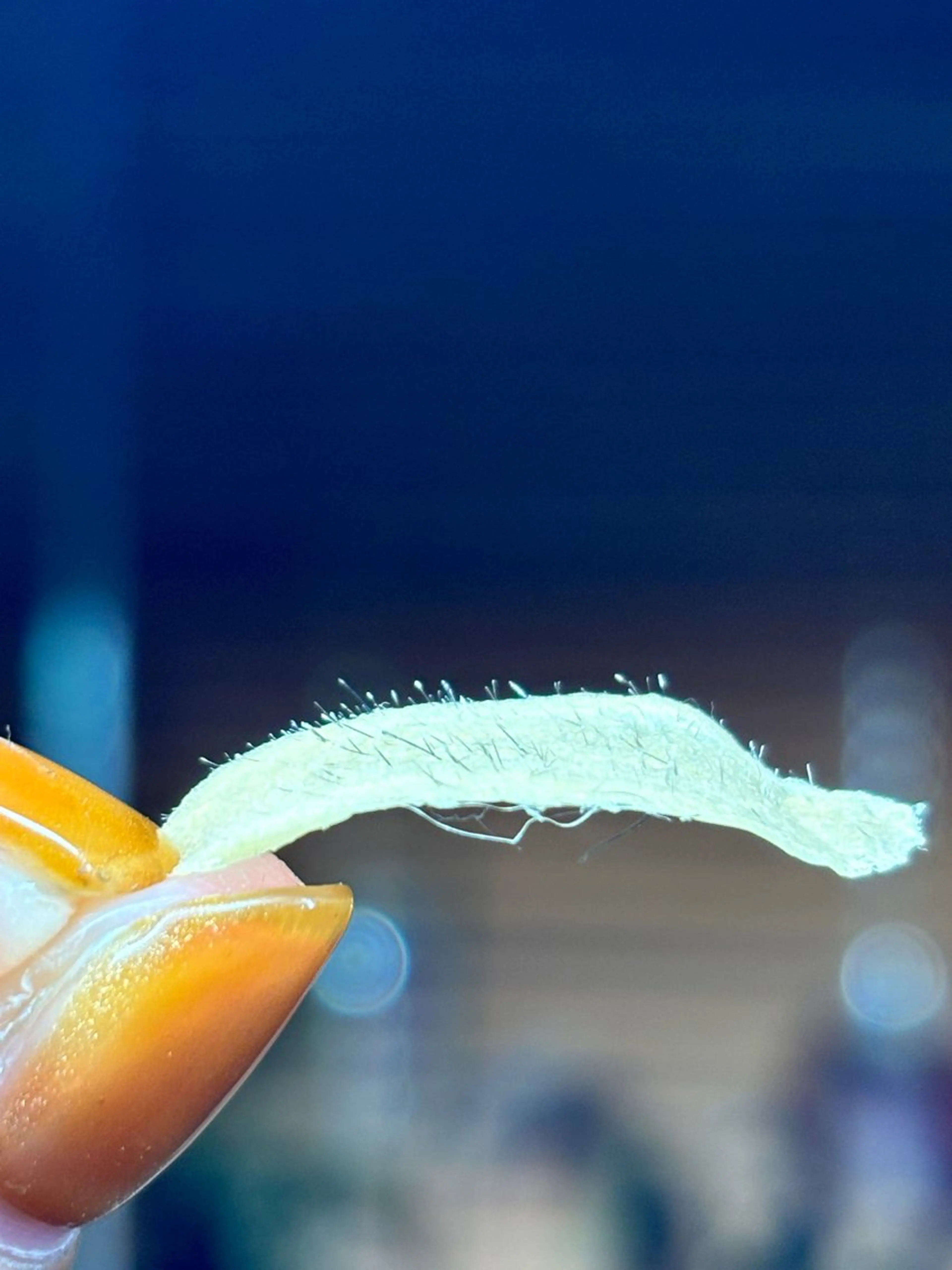 エステ sourire.11 ‪☺︎‬‪emiのその他イメージ