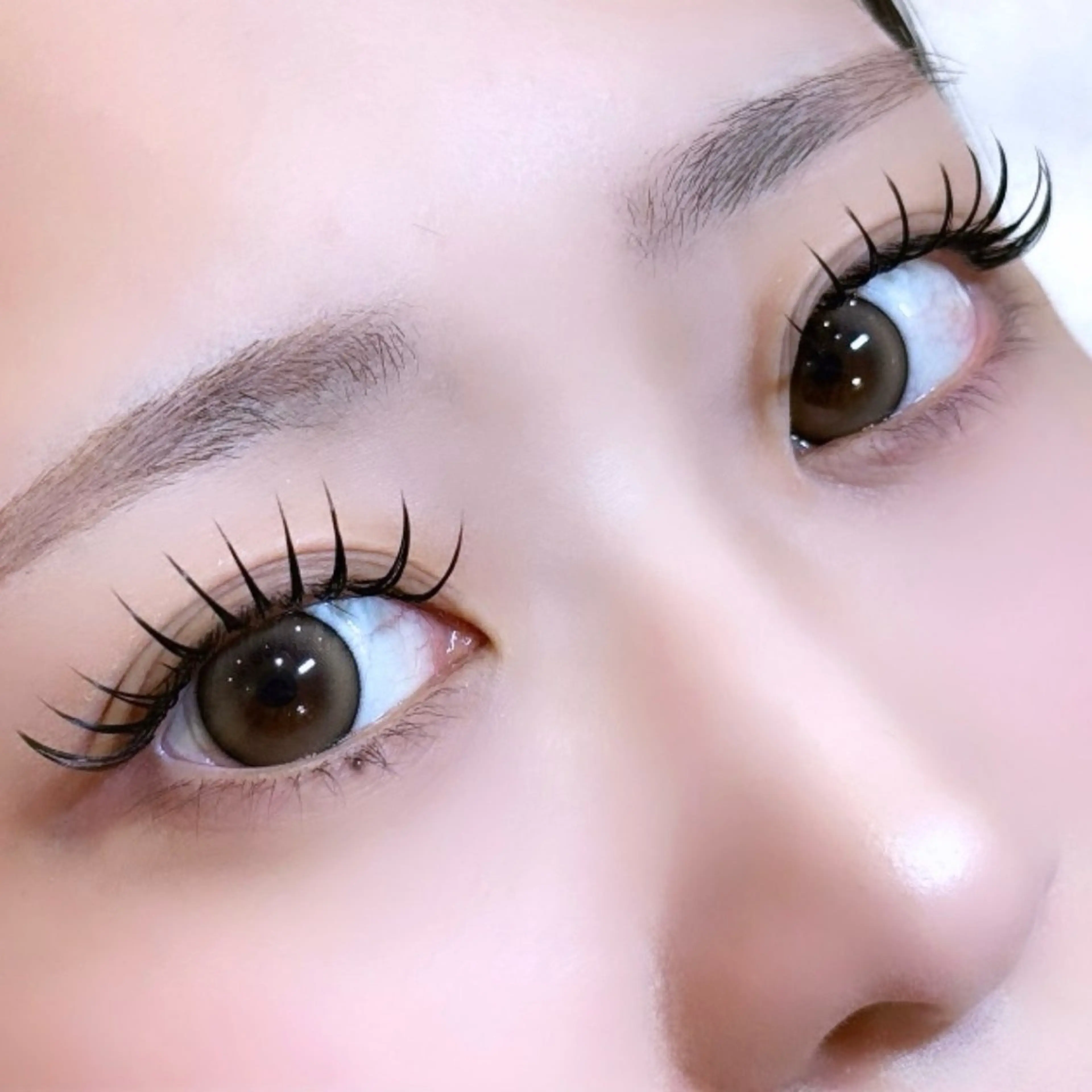 【モチ＆ボリューム🆙✨】🎀Wフラットラッシュ80束🎀の写真