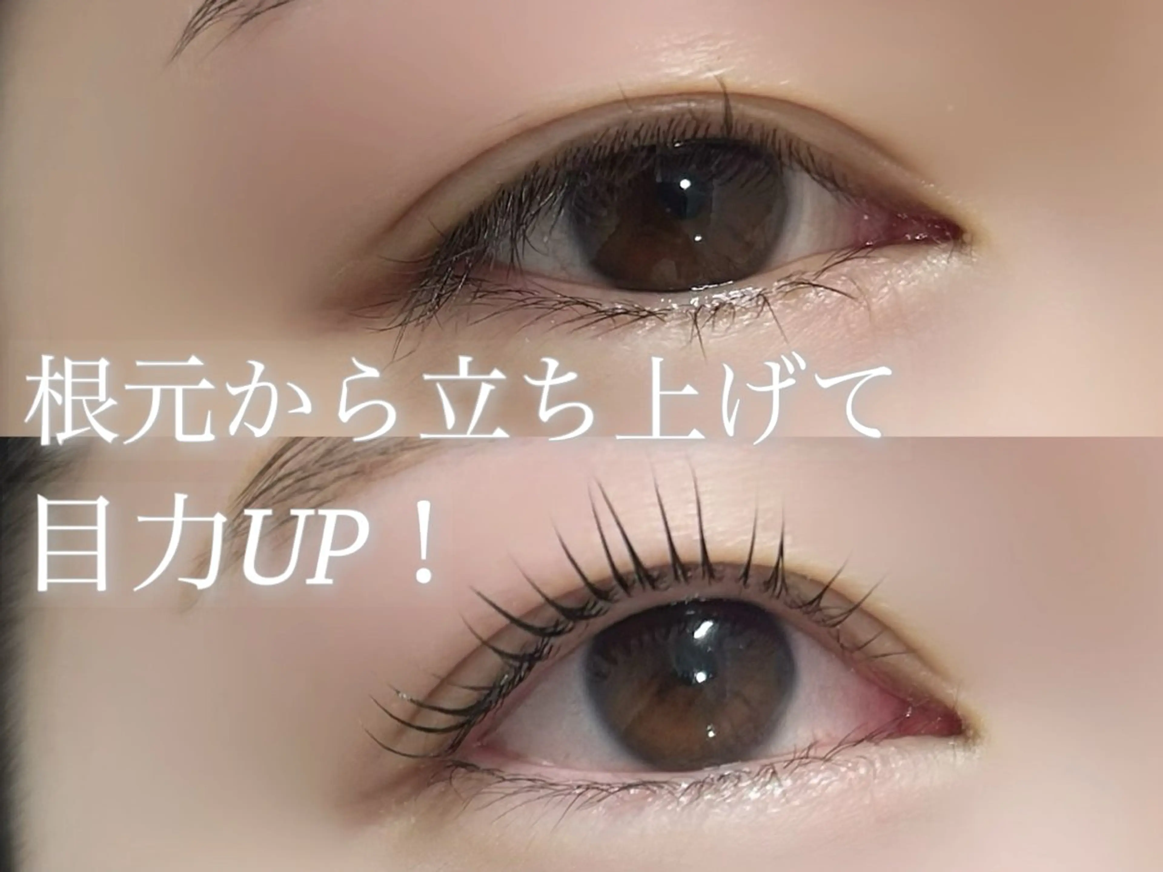 マツエク・マツパ 🤍ぱっちり ナチュラルりな🤍のマツエク・マツパデザイン