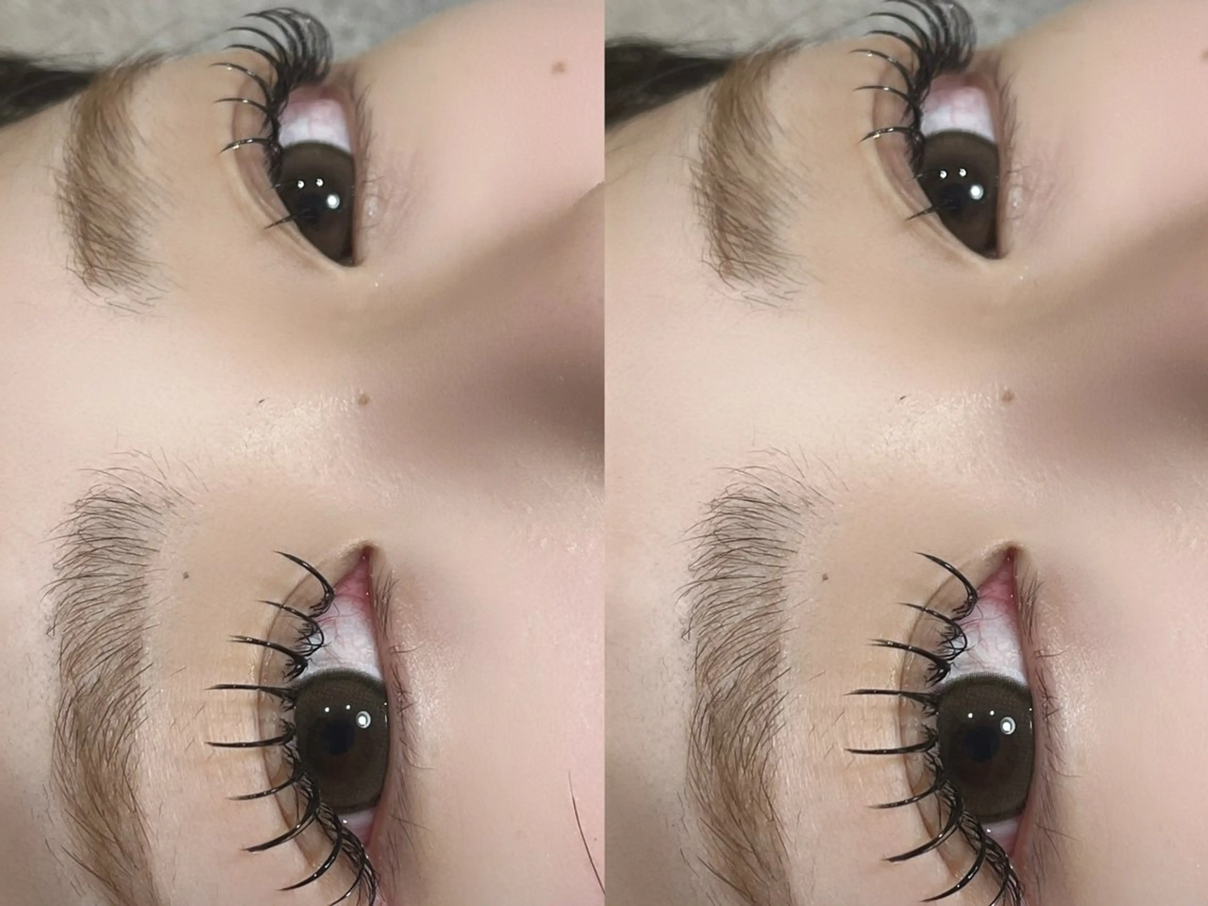 マツエク・マツパ SalonEF 芽生/MEIのマツエク・マツパデザイン