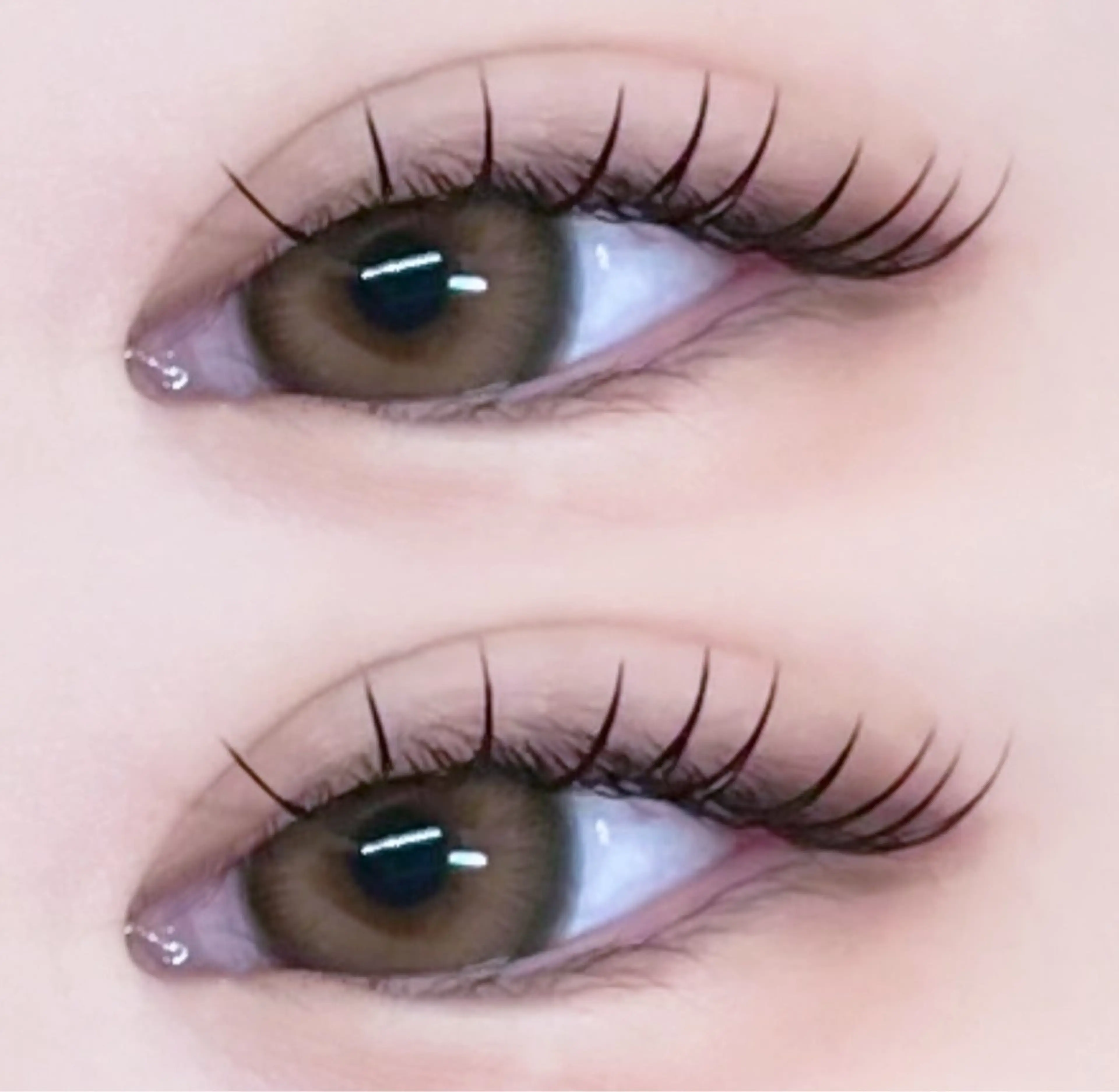 ご新規様🩵まつ毛エクステ(上)80本🩵の写真