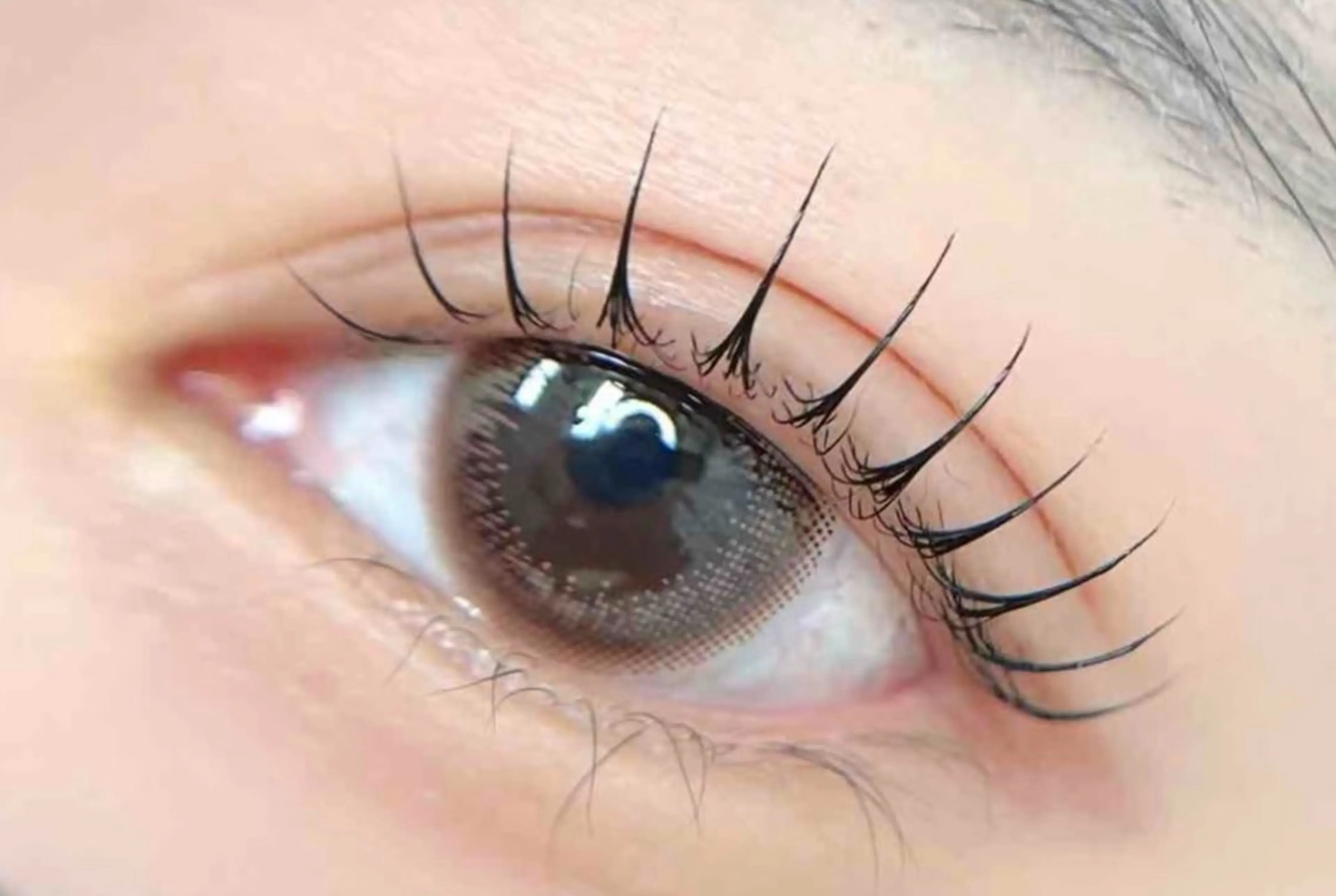 特別価格　韓国アイドル風パーマ&コテイング付き上の写真