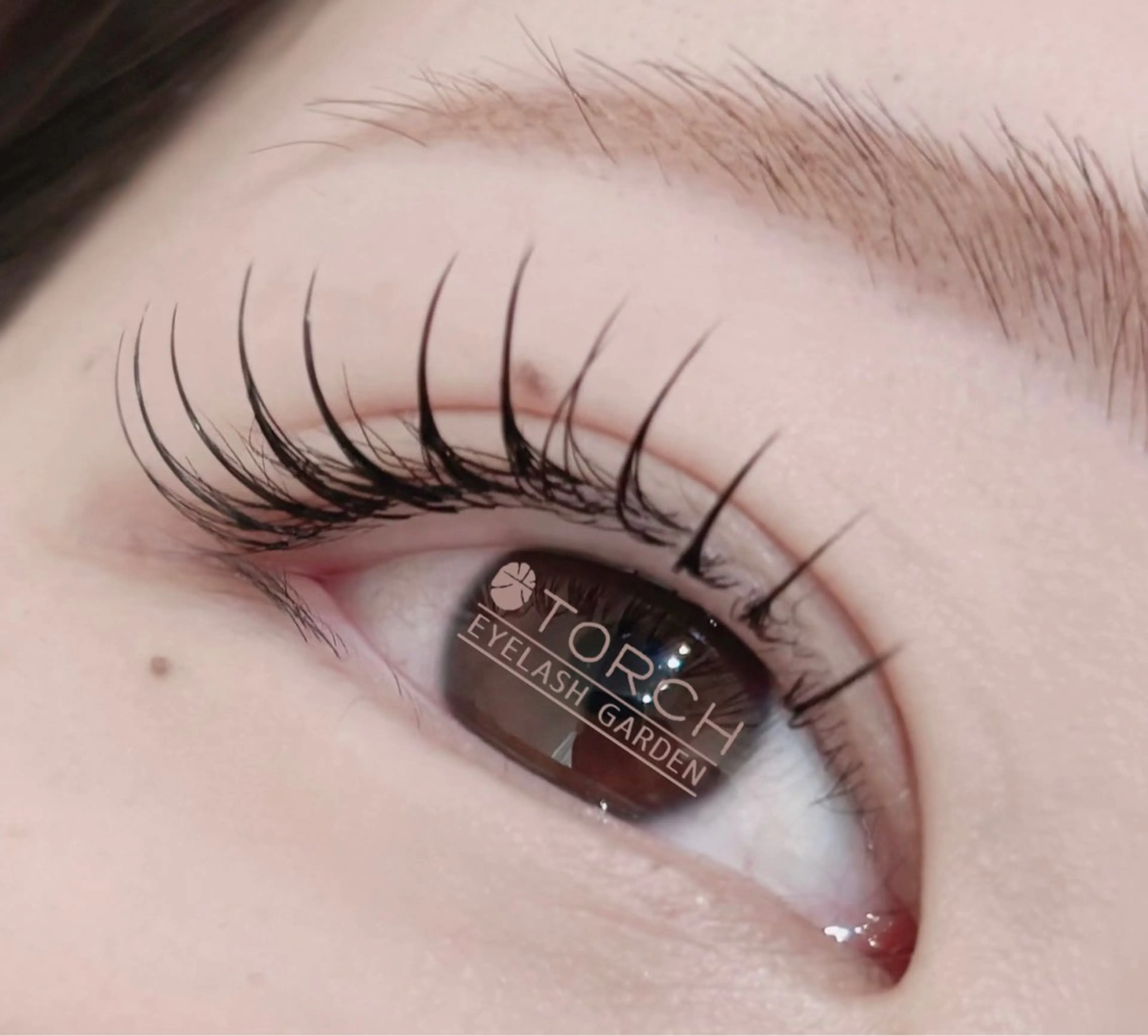 本日限定🎀✨話題沸騰中‼️ＬＥＤエクステ✨100本¥5500の写真