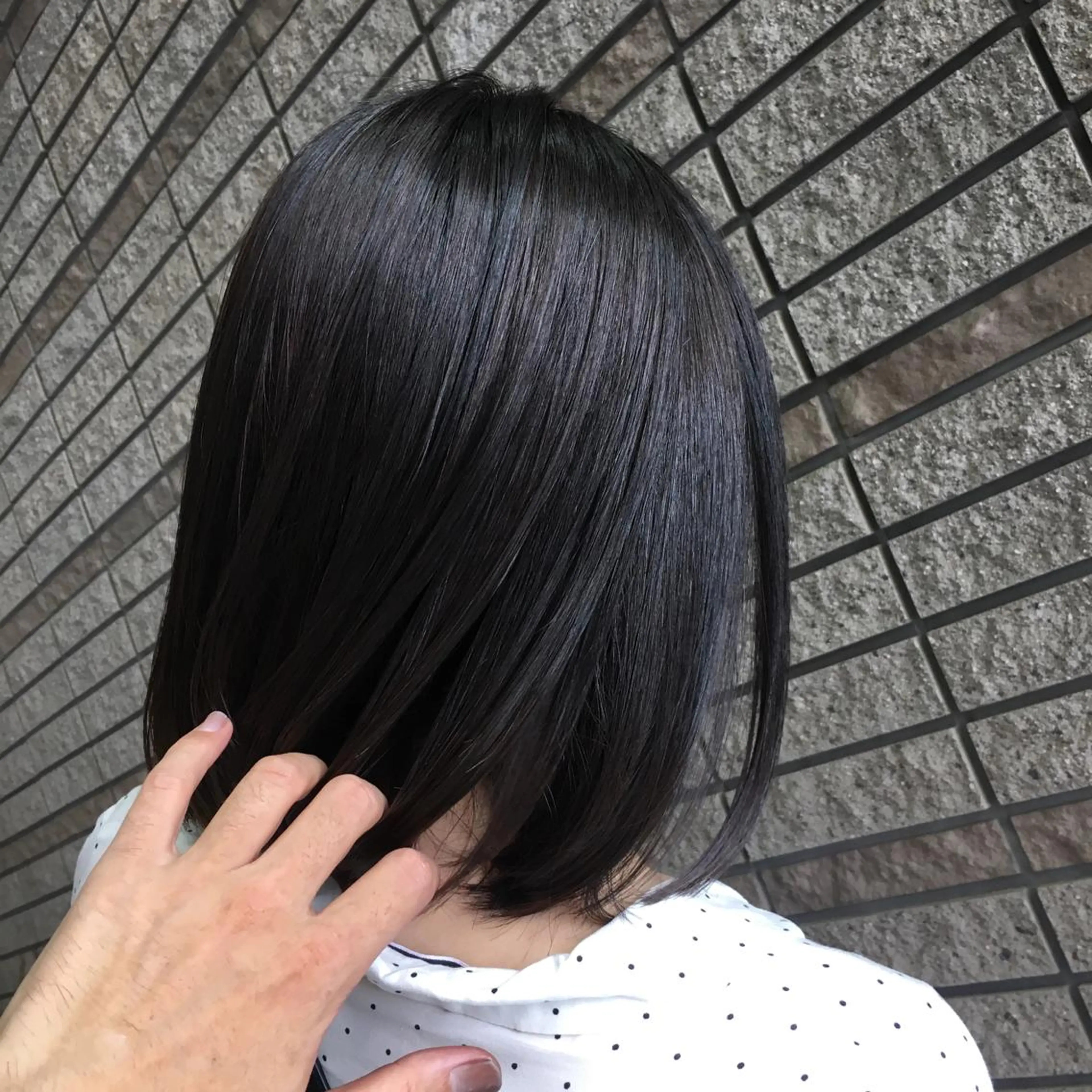 ショート カラー アッシュ ブルーカラー ブルーアッシュ イルミナカラー 縮毛矯正 N° jillva ♦️川端裕司♦️のヘアスタイル