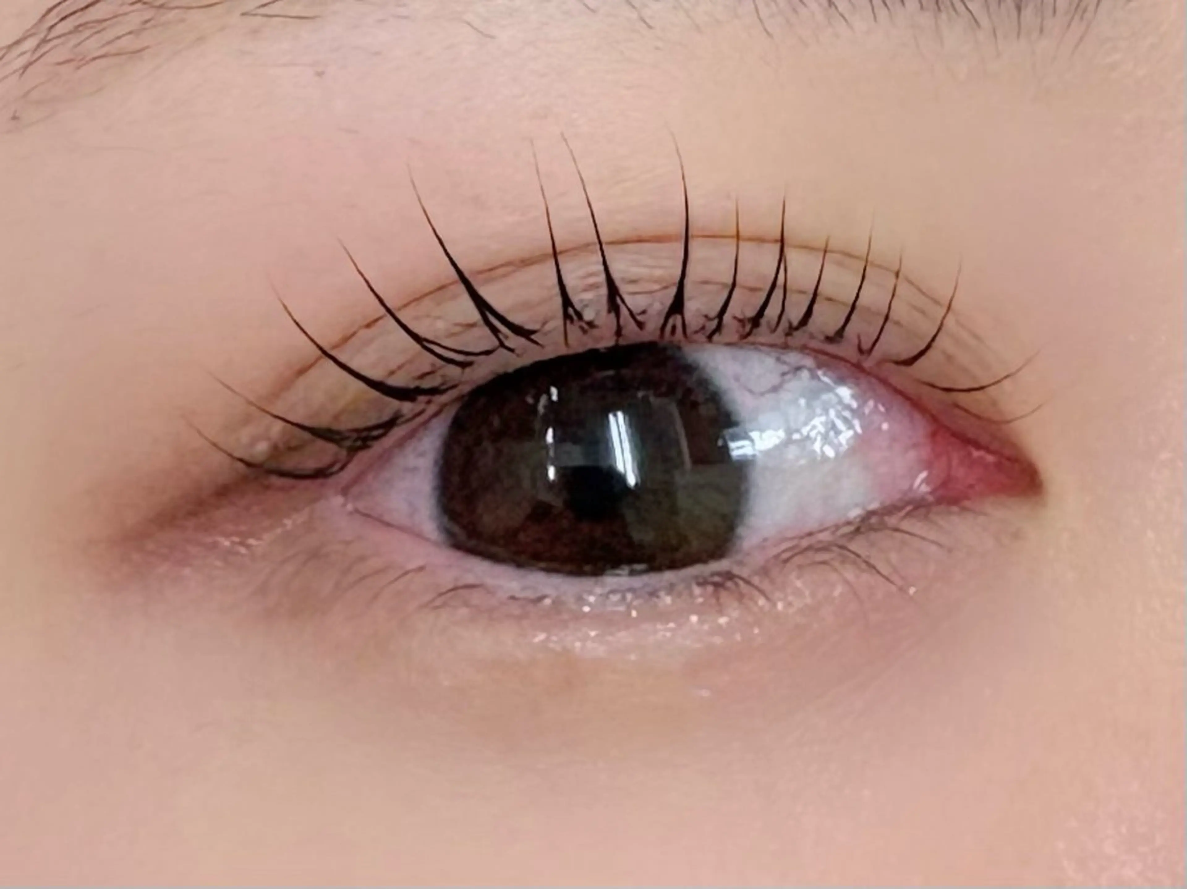 マツエク・マツパ 束感まつ毛 マツパ alice tokyo上村★のマツエク・マツパデザイン