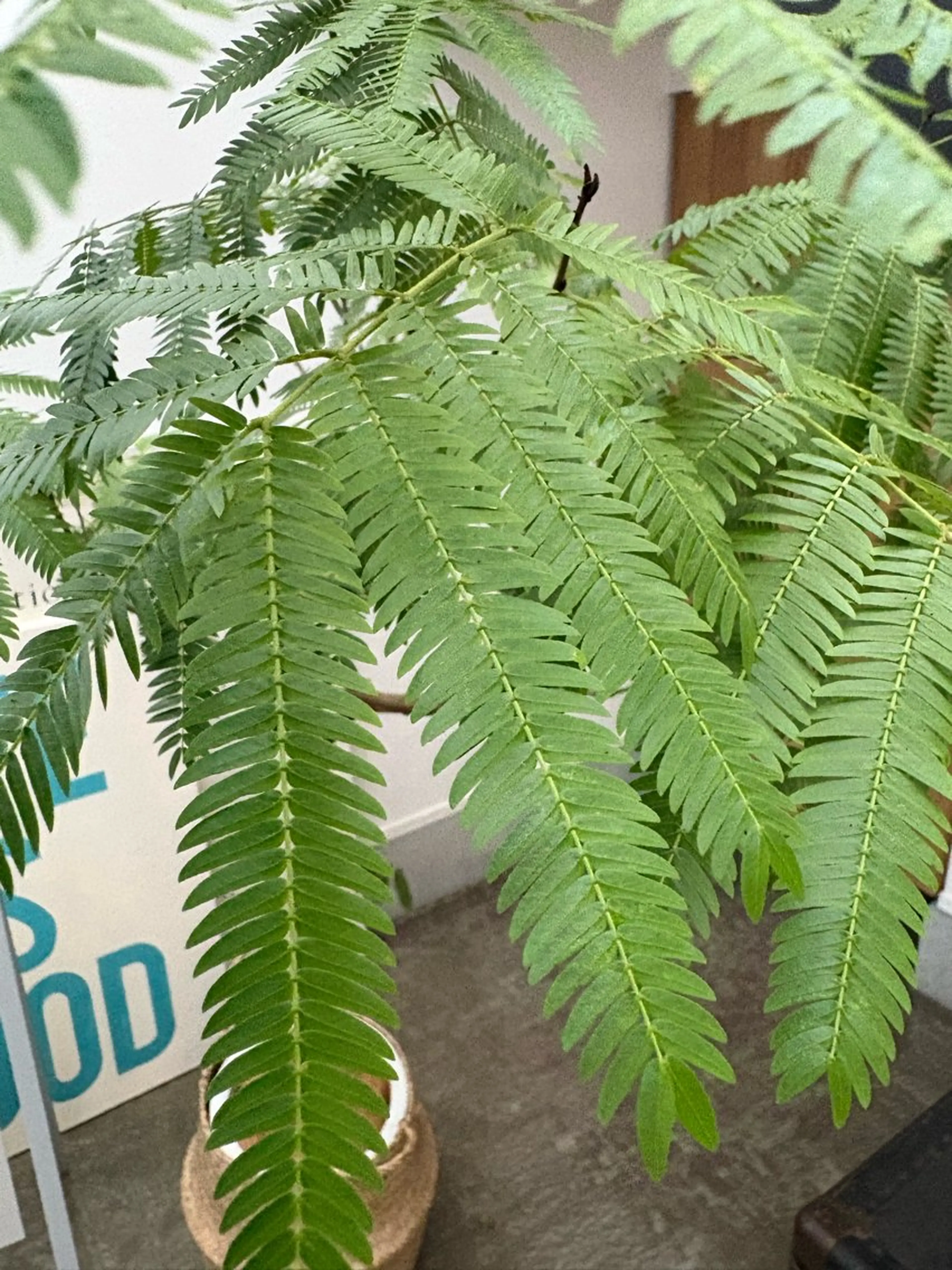 漢方温活マッサージ ［THE28.］のエステ・リラクイメージ