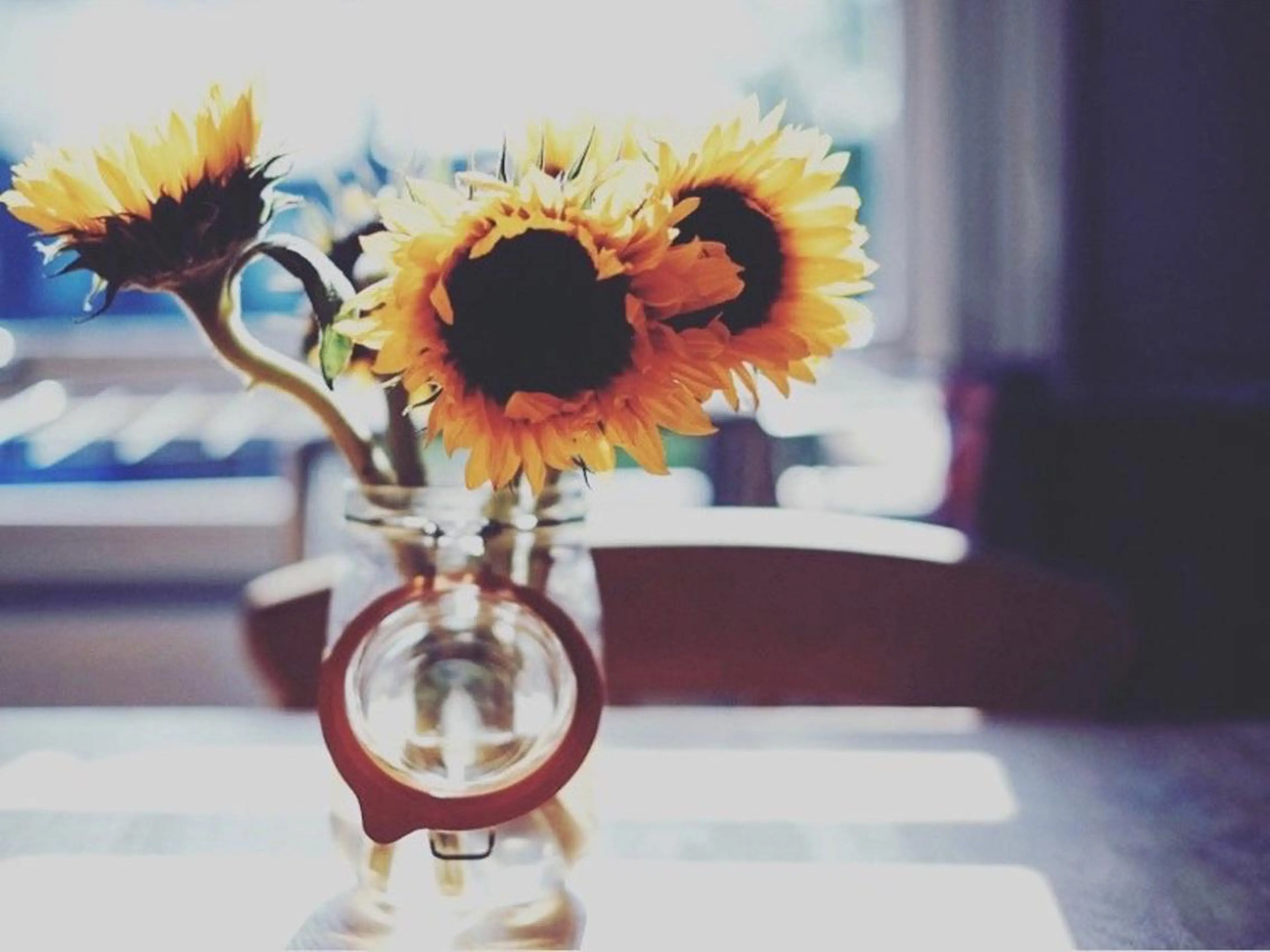 WHITE EYE 京橋店の眉毛・アイブロウイメージ