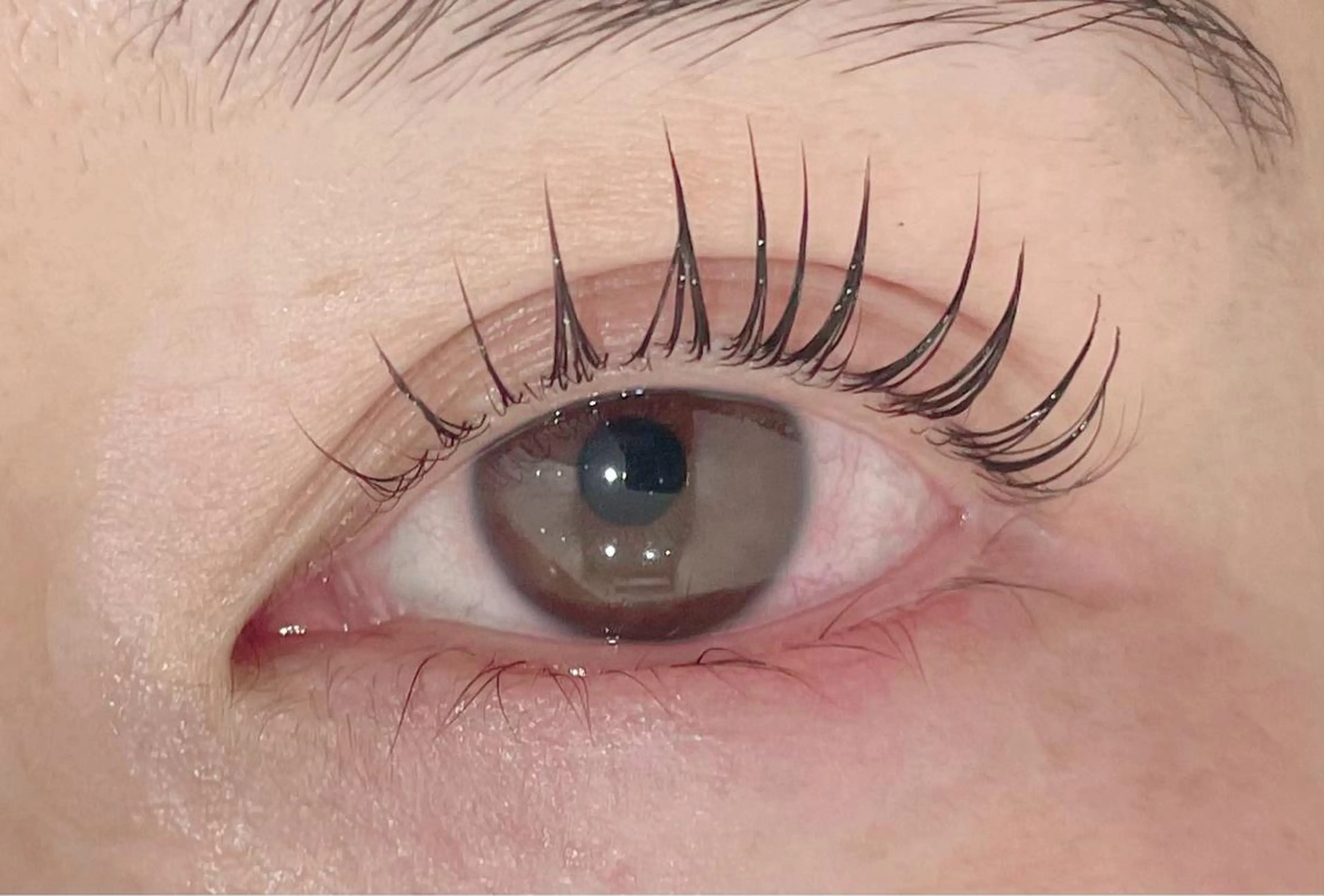 マツエク・マツパ マツパ まつげパーマ専門店 くるり🎀赤澤🎀の眉毛・アイブロウイメージ