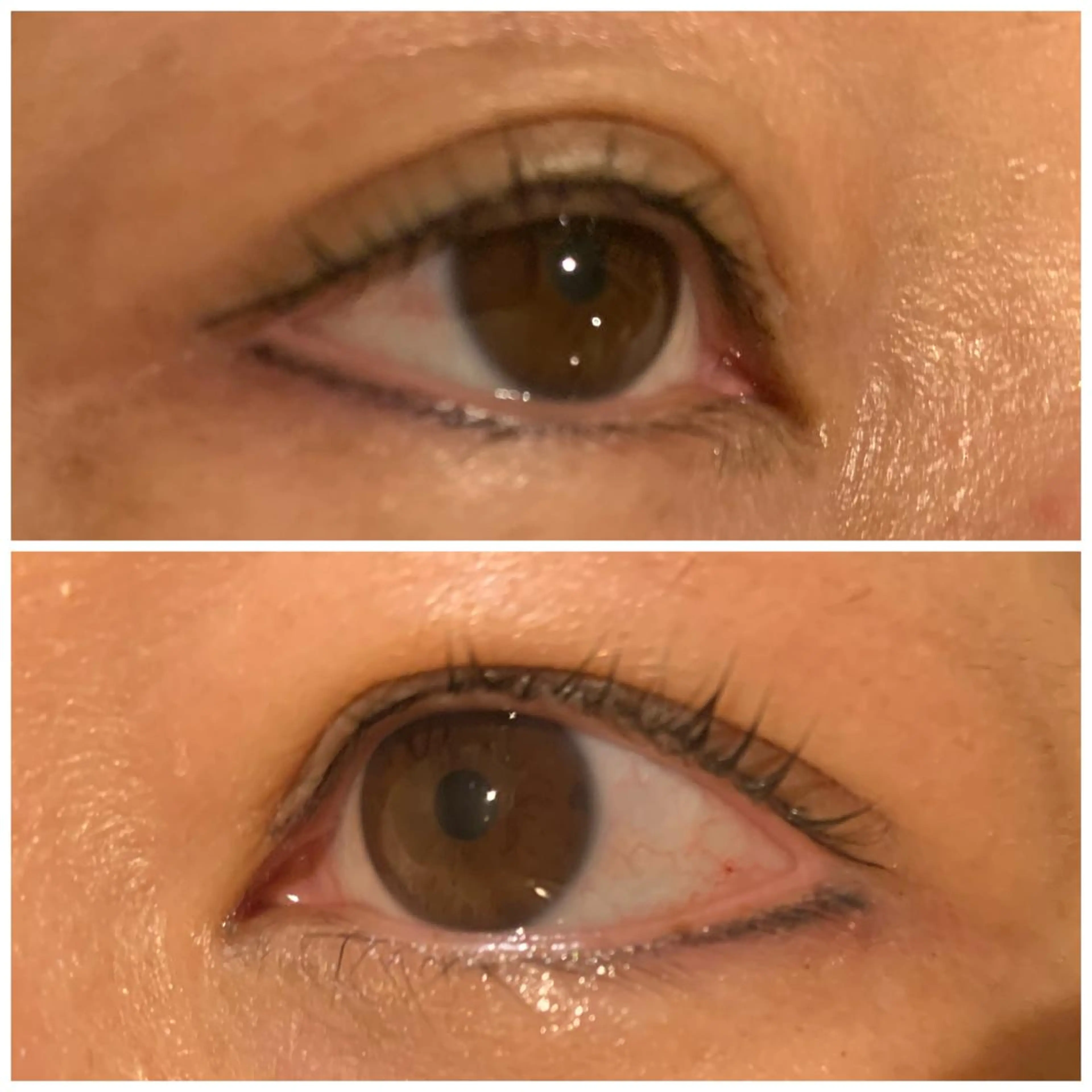 マツエク・マツパ 🌼🤎福島 咲果🌼🤎のマツエク・マツパデザイン