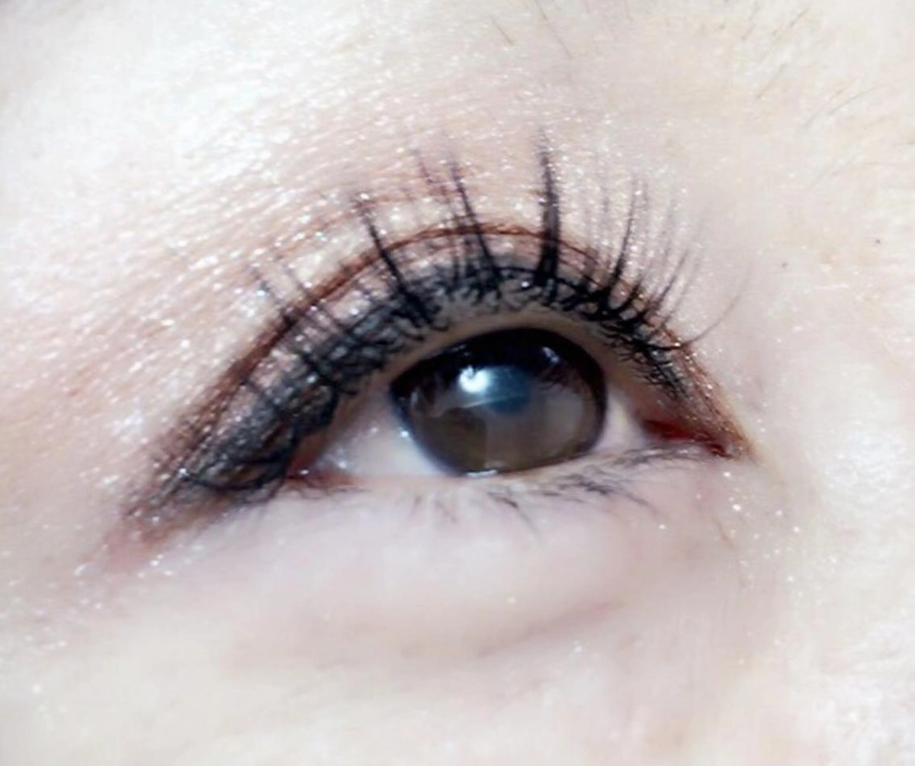 マツエク・マツパ Shinus シャイナスのマツエク・マツパデザイン