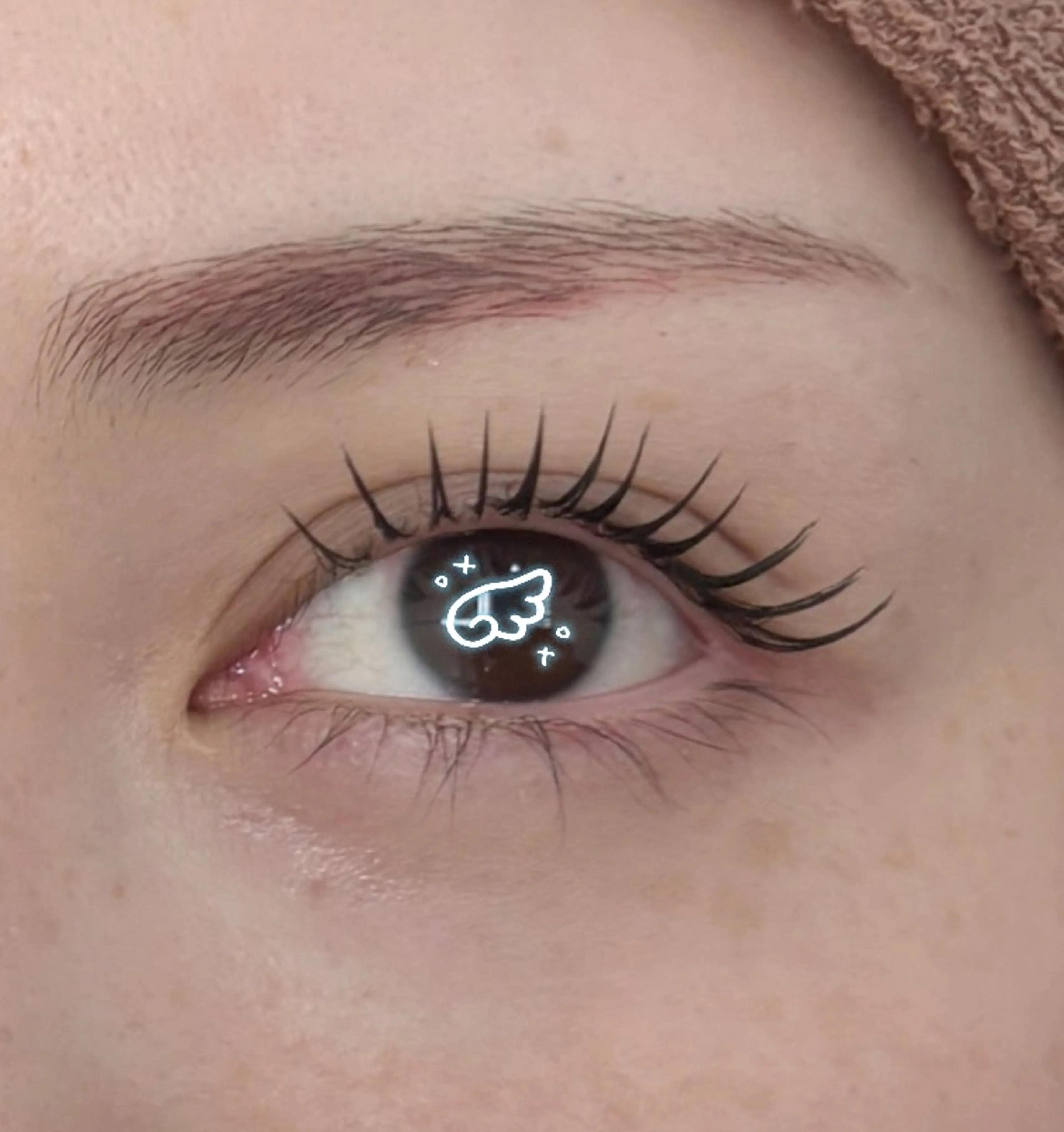 アンドヘルシー100本＊135mの写真