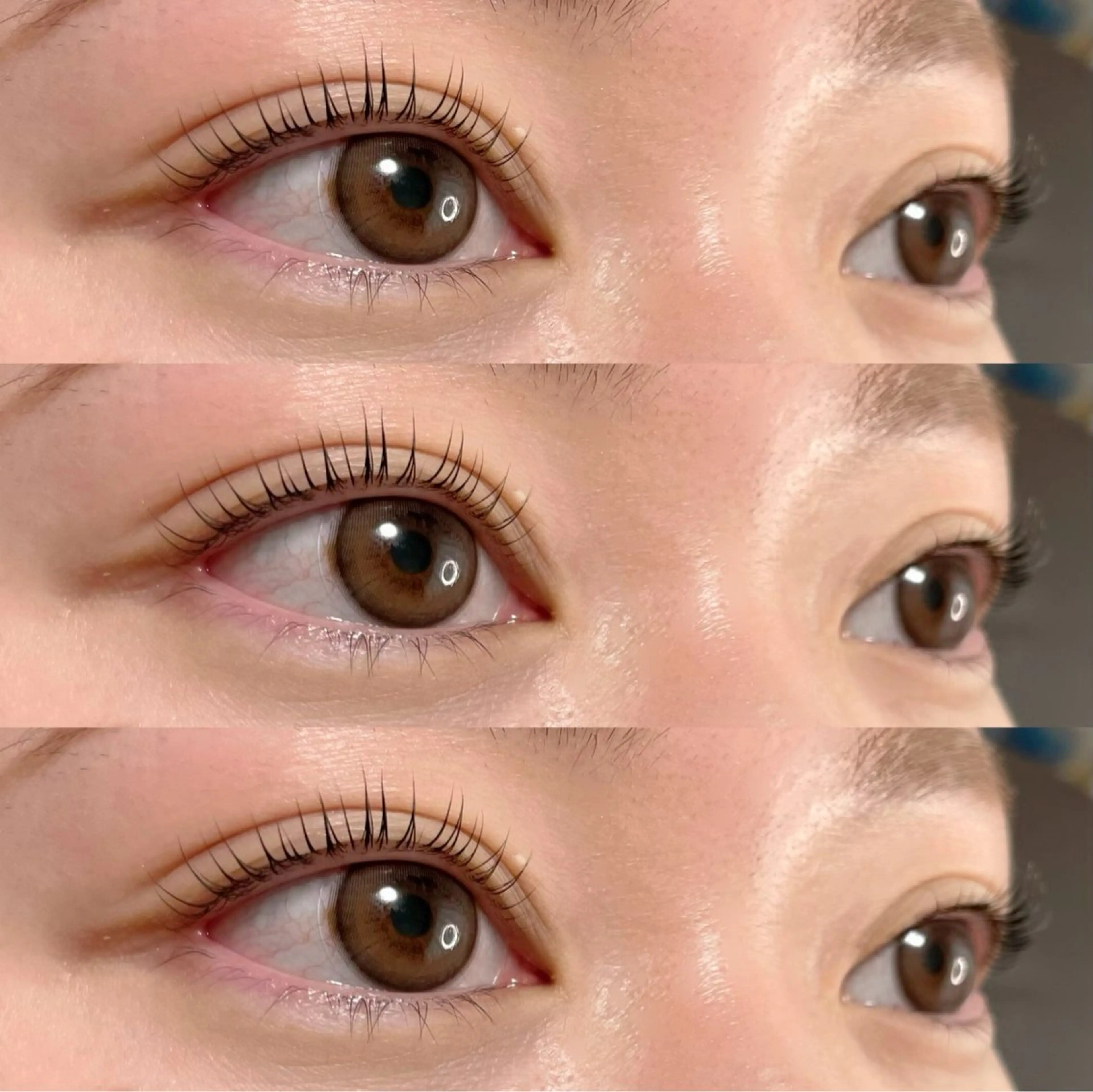 【新規】パリジェンヌ🐼の写真