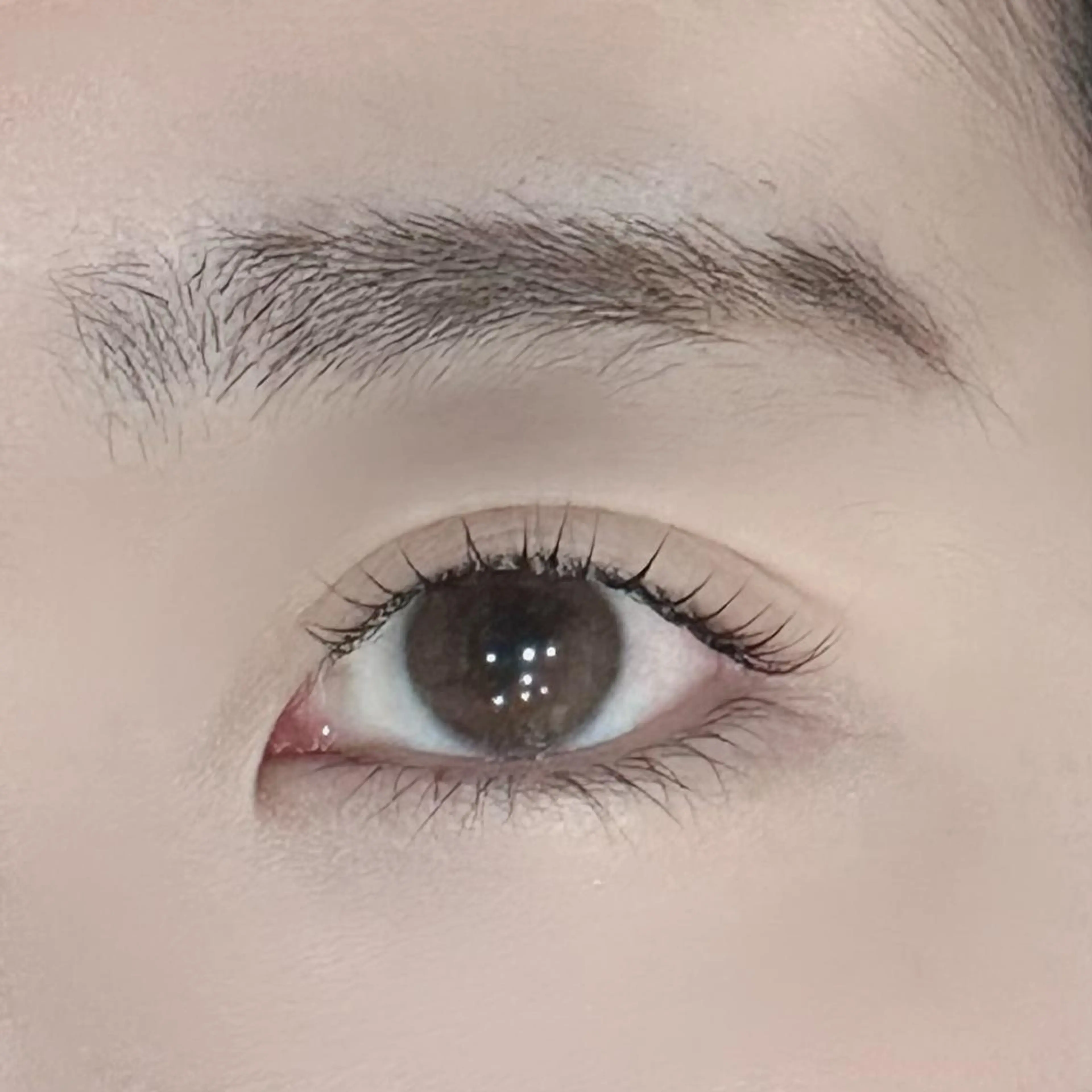 まつげパーマラッシュリフト　上　(C / D / U カール対応)の写真