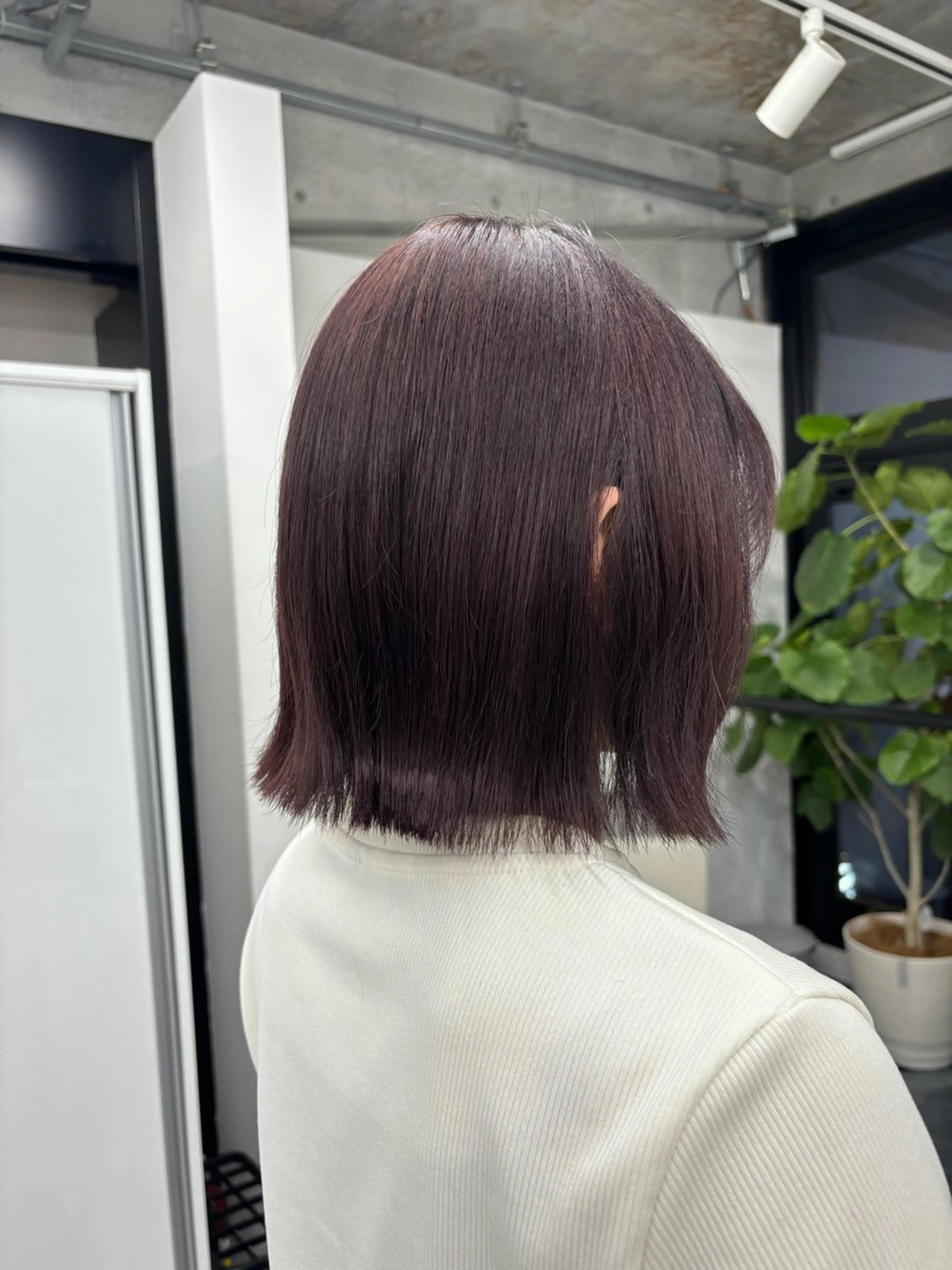 【人気メニュー✨】カット縮毛強制3stepトリートメント　¥18000​〜​の写真