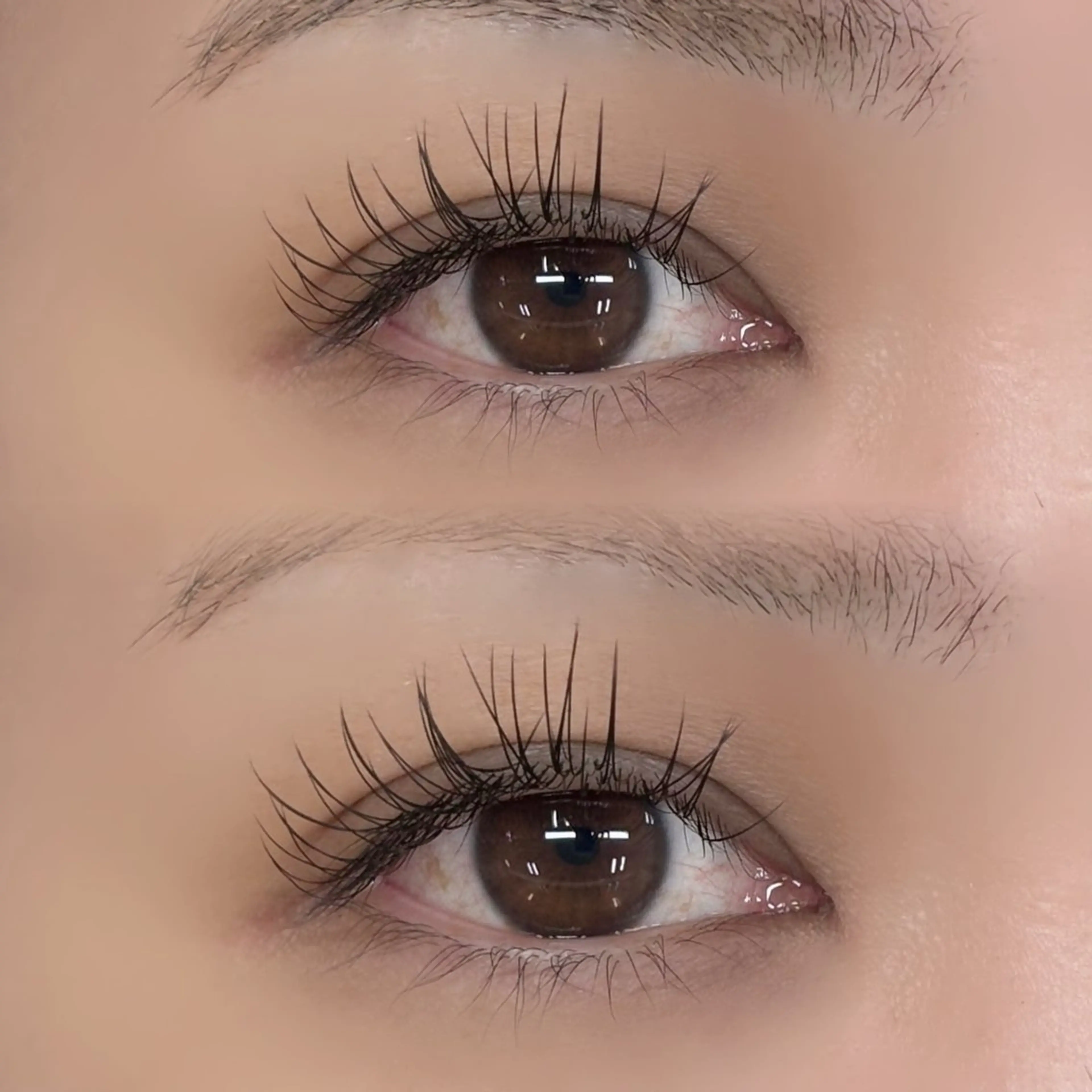 シングルフラットラッシュ100本の写真