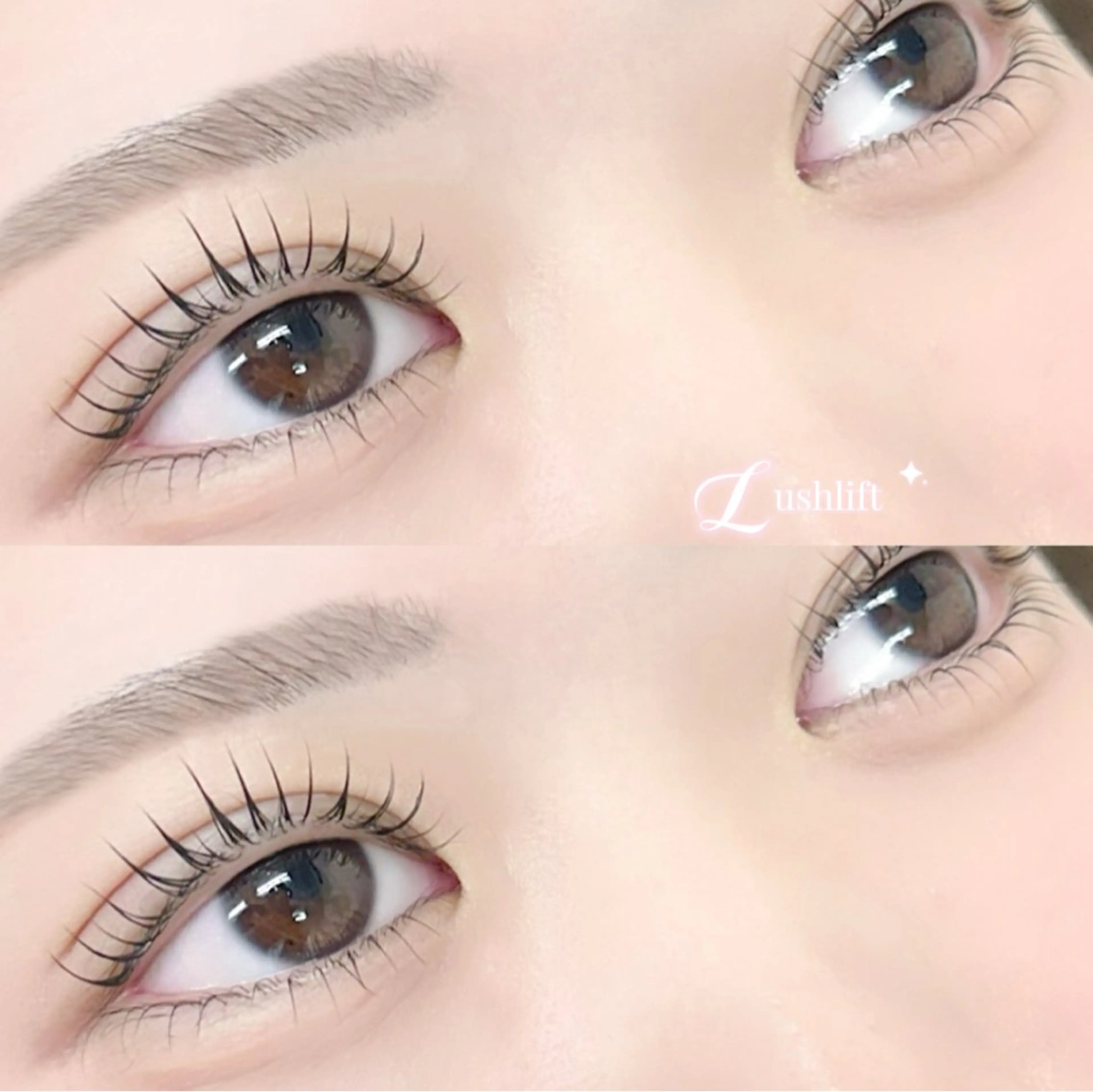 🎀【上まつげパーマ】ナチュラル派・マスカラ派の方におすすめ！［八王子］の写真