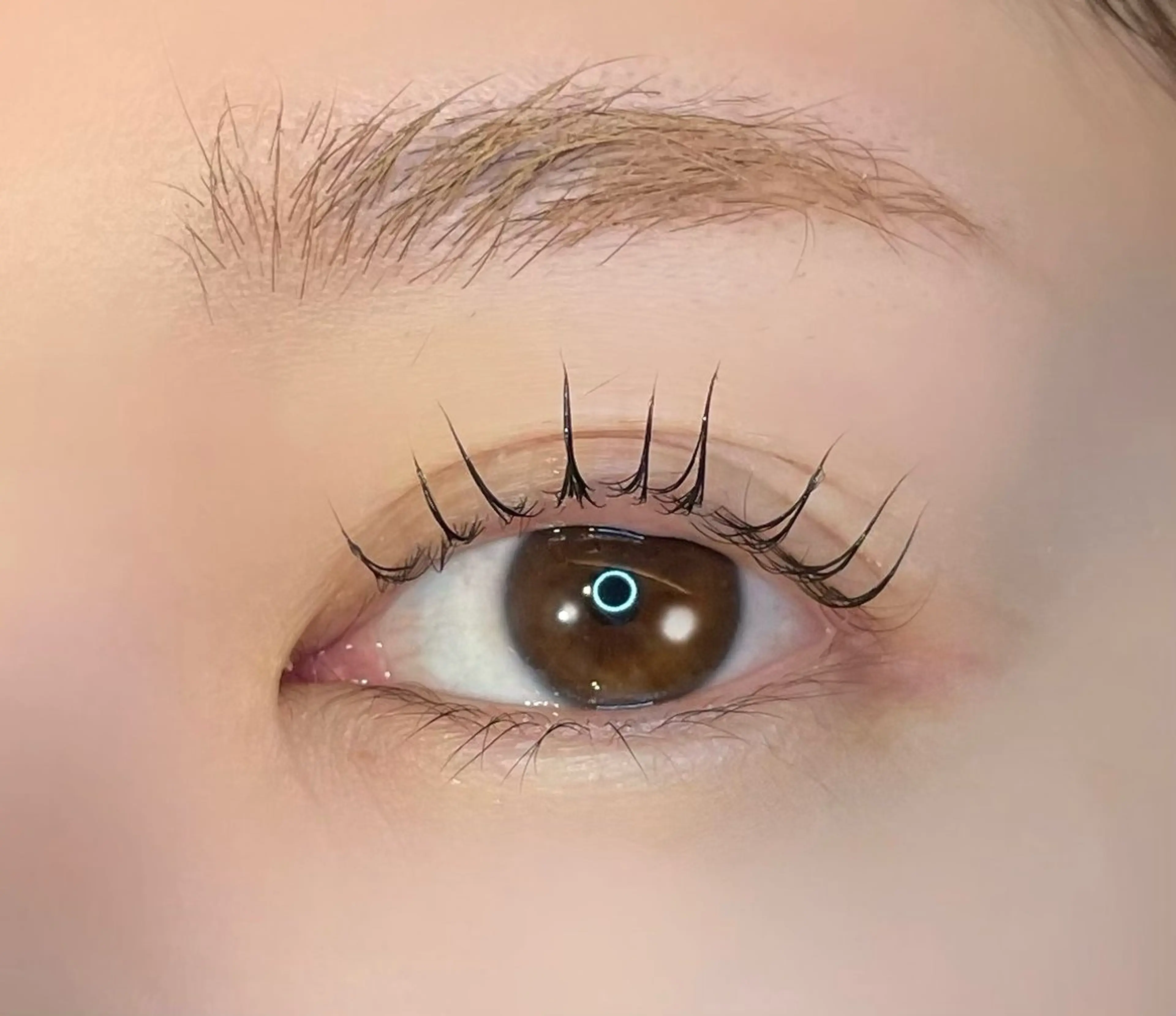 【リピーター続出❤️‍🔥】🩵束感まつ毛パーマ🩵カールは選べます〇の写真