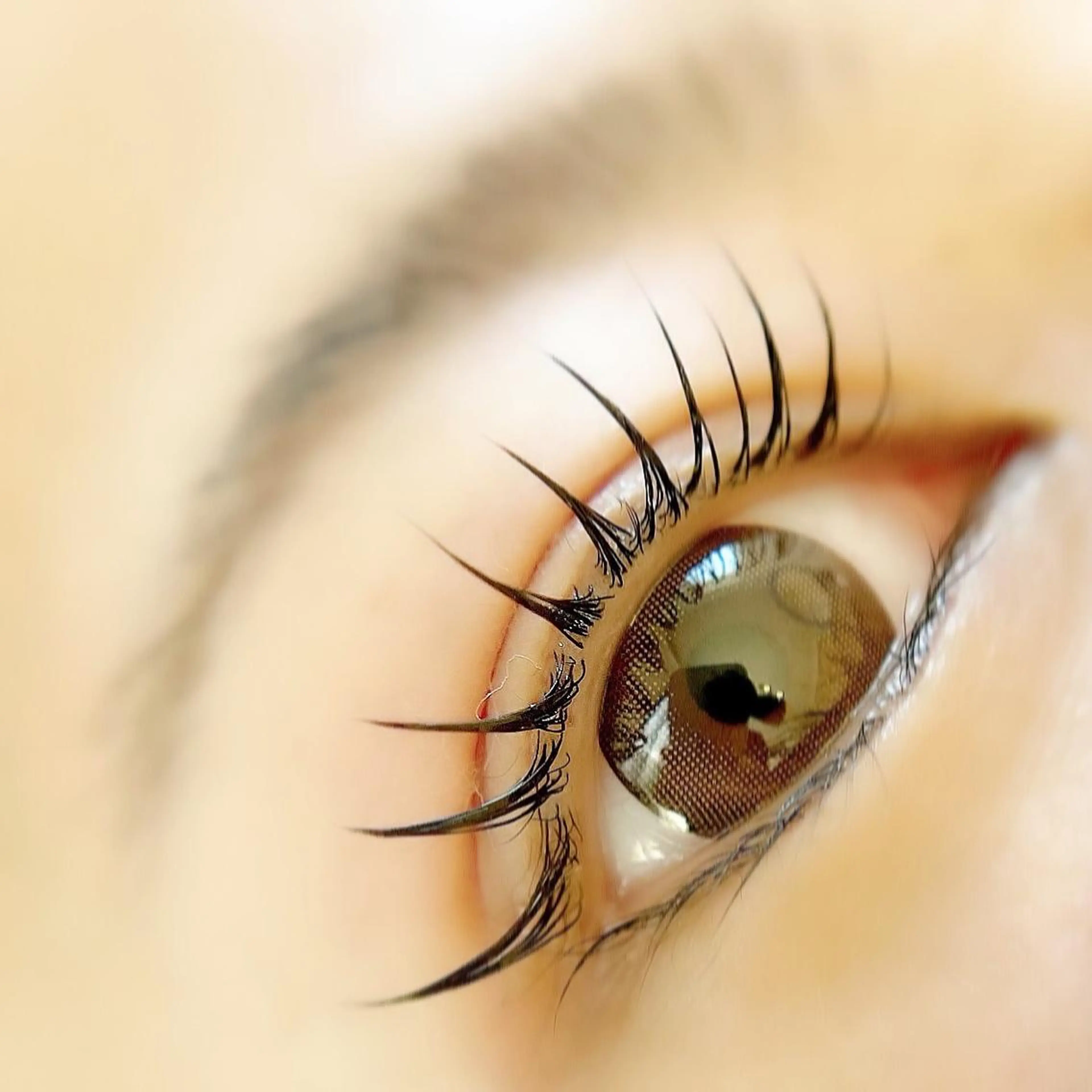 韓国発祥🇰🇷マスカラティントまつ毛パーマ♡コーティング仕上げ付きの写真