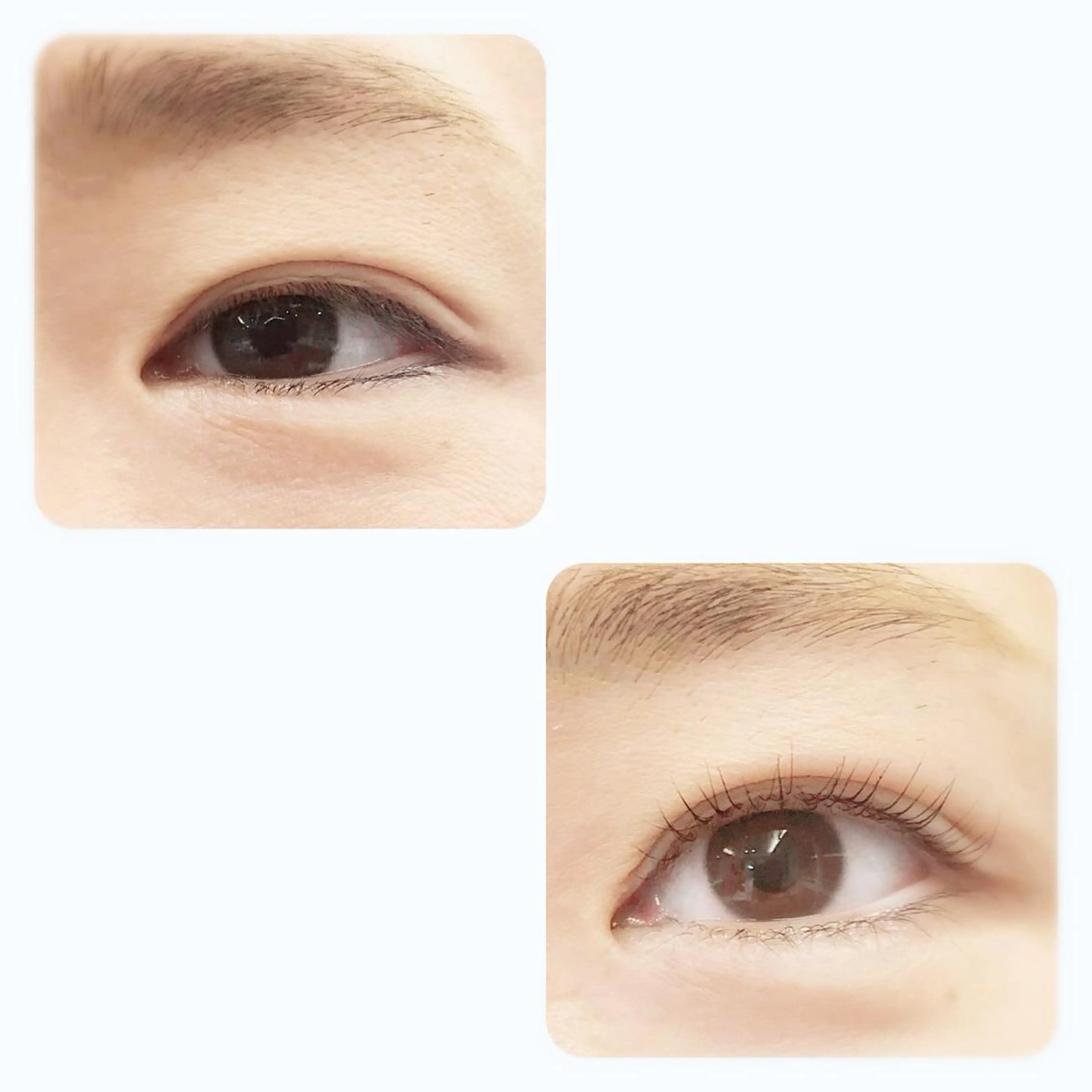 次世代まつ毛パーマの写真