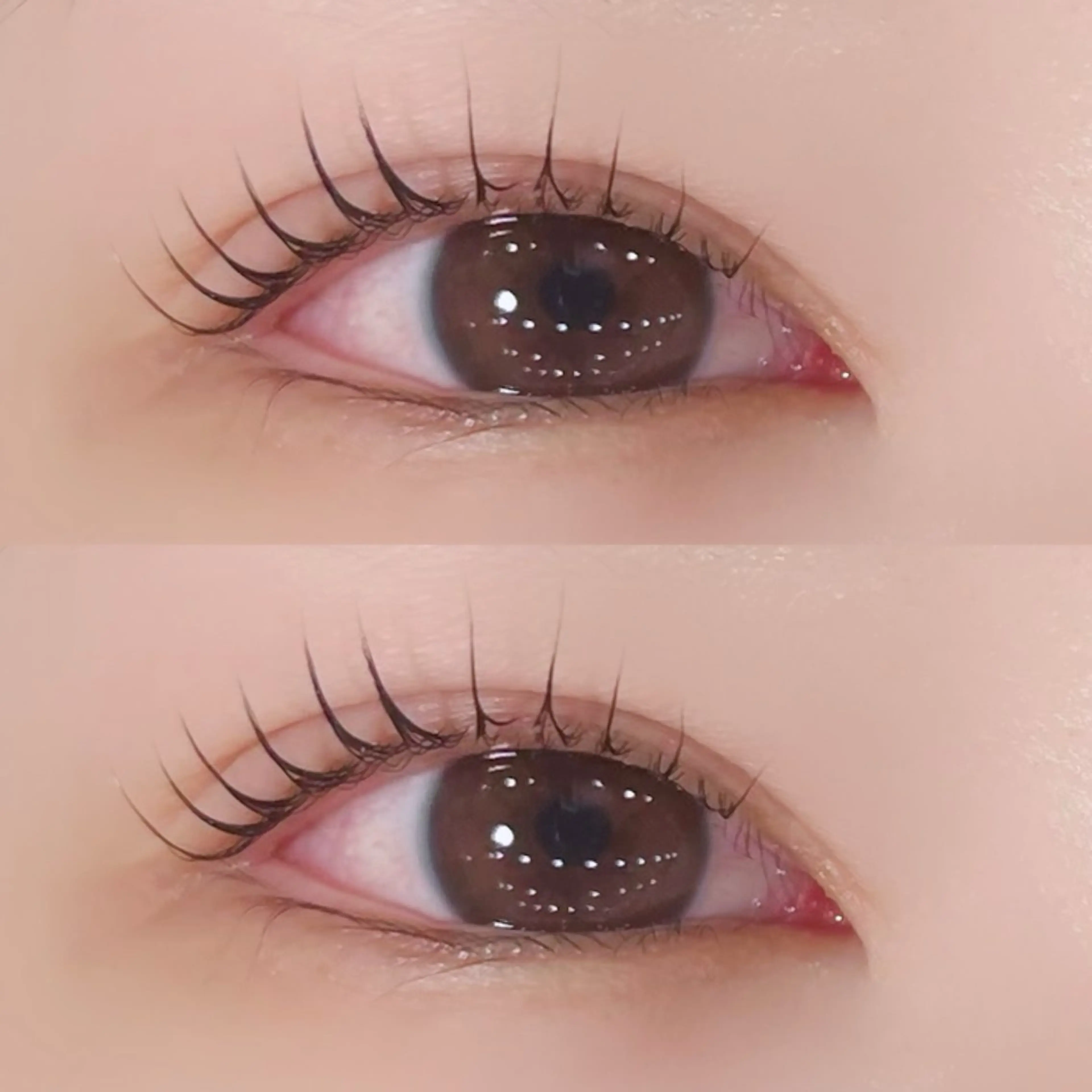 マツエク・マツパ マリーテレジア🩵 OGURAのマツエク・マツパデザイン