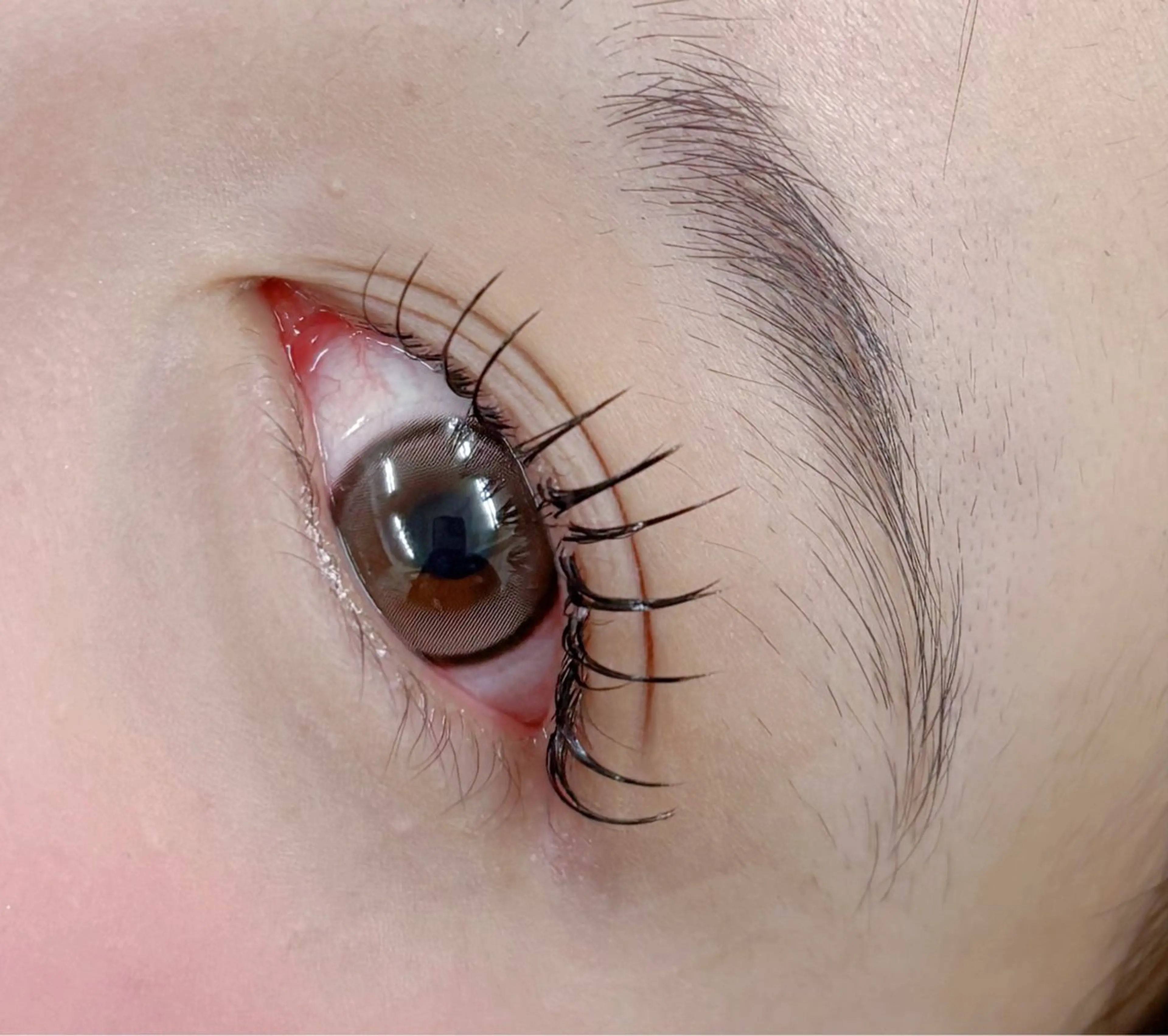 [ミニモ限定]アンドヘルシーモデルさん募集❣️before afterのお写真OKの方限定📷エクステ100本の写真