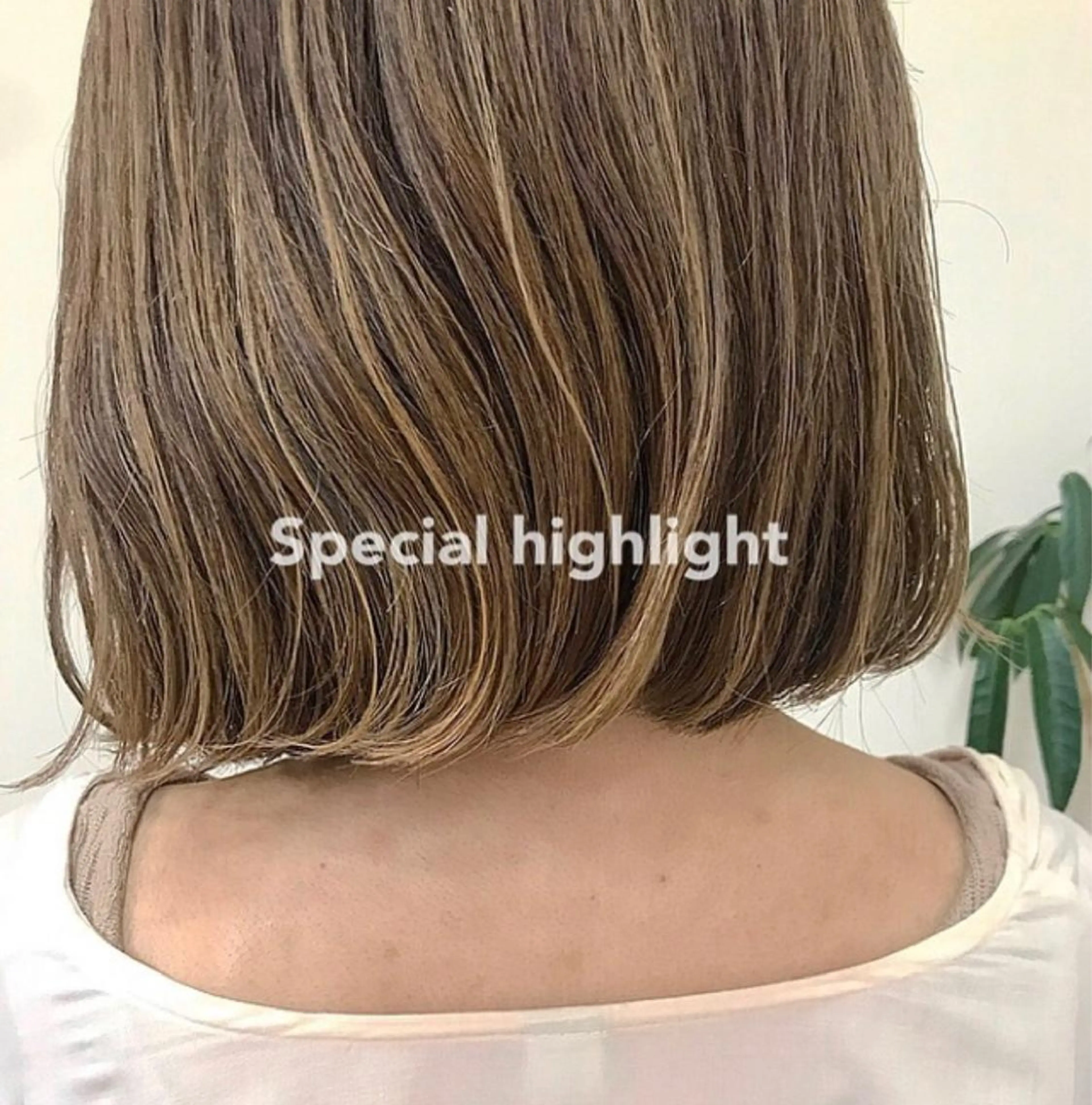 🐬カット+透明感ハイライトカラー+2Stepトリートメント🐬の写真