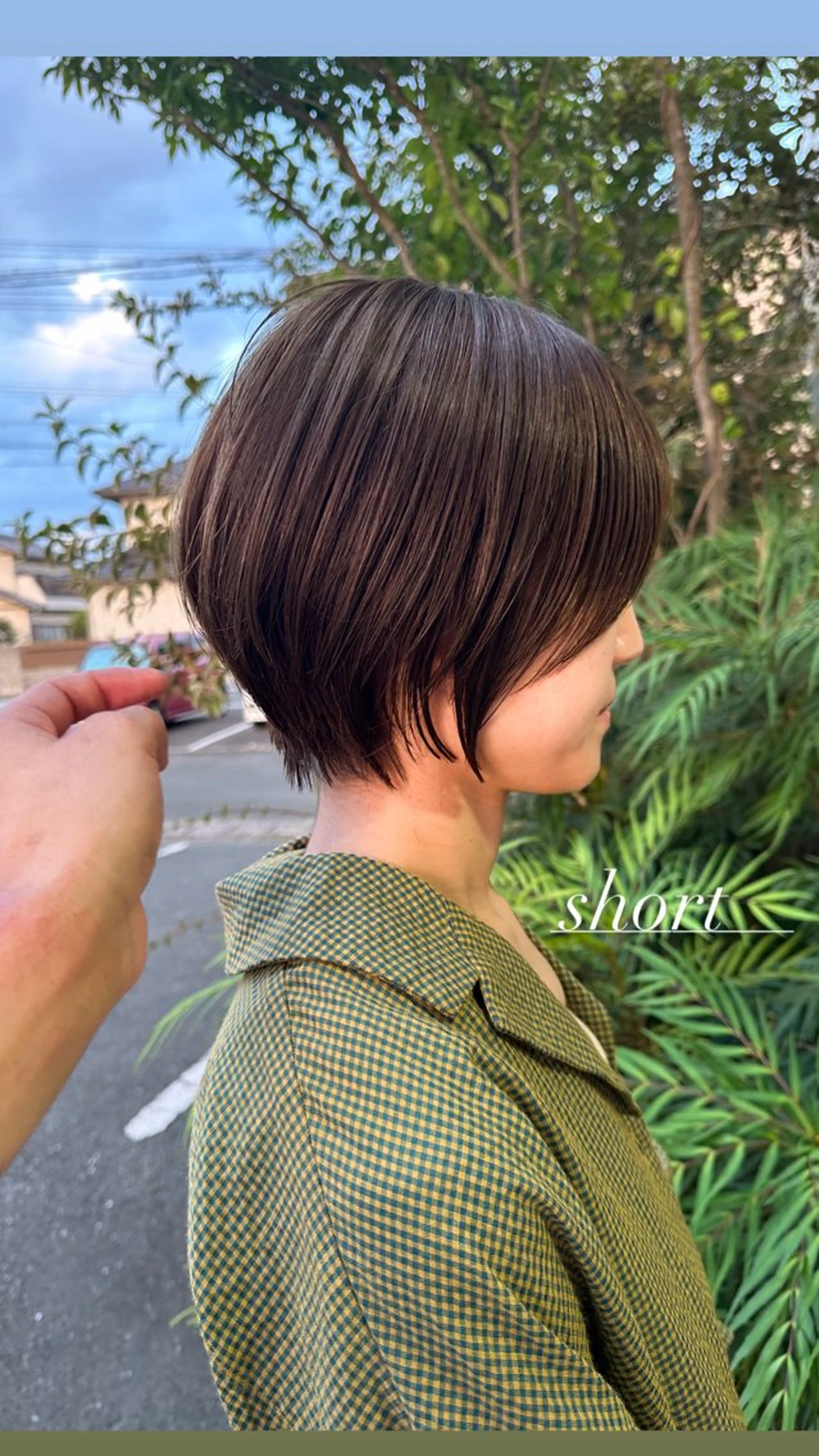 ショート 大橋 聖哉のヘアスタイル