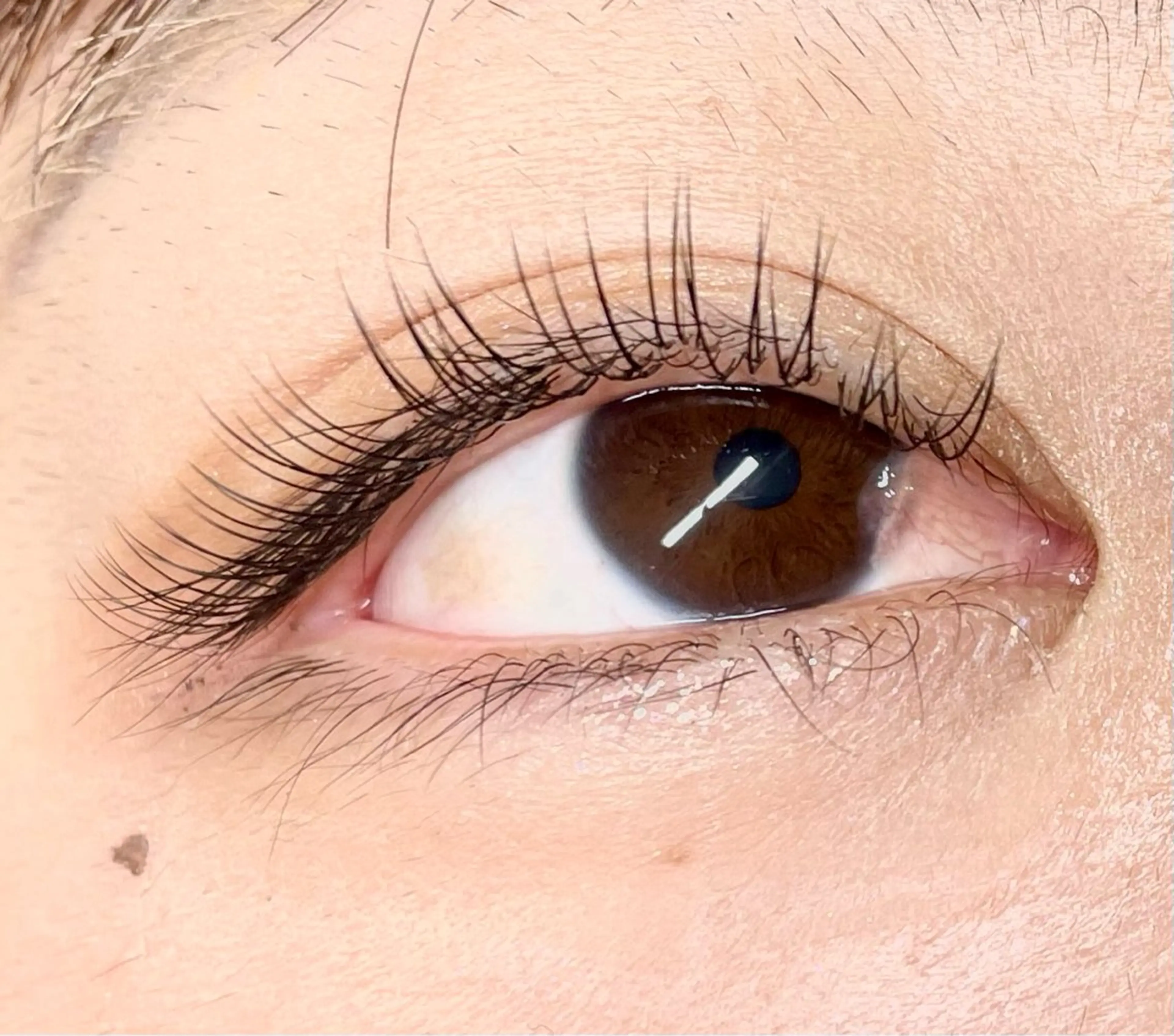 【オフなし】フラット100本※LEDに変更可◎+1500円の写真